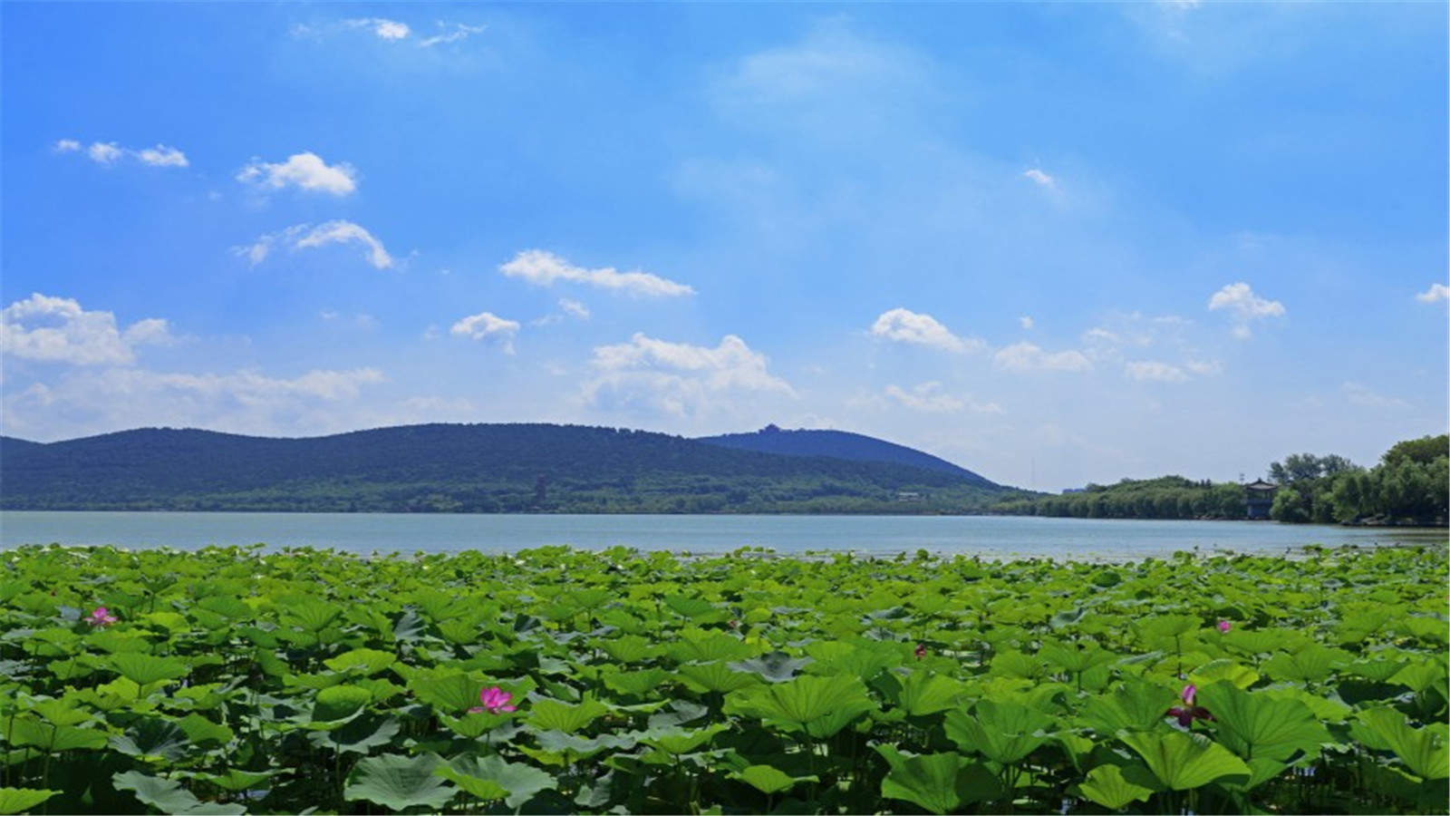 风景壁纸图片