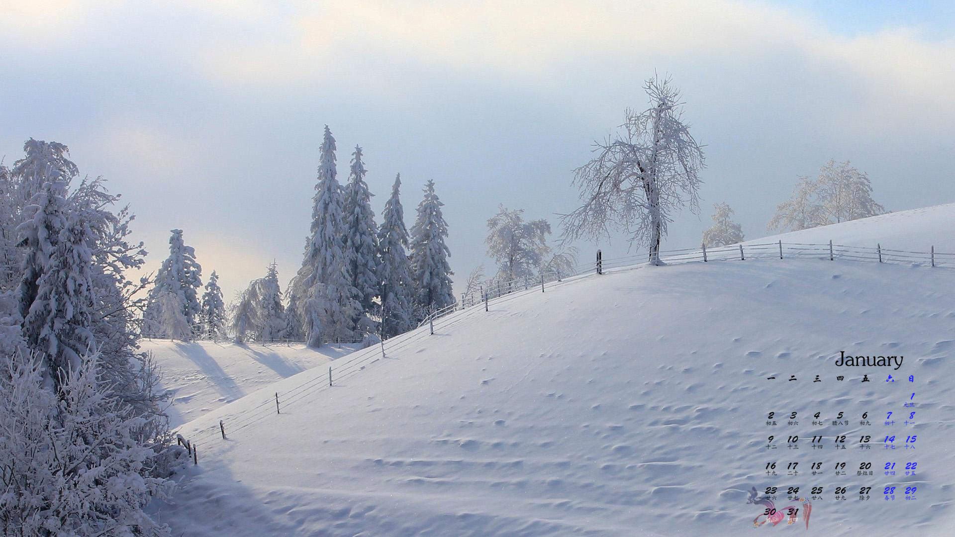 郑秀妍日本函馆冬日雪景唯美写真图片图片
