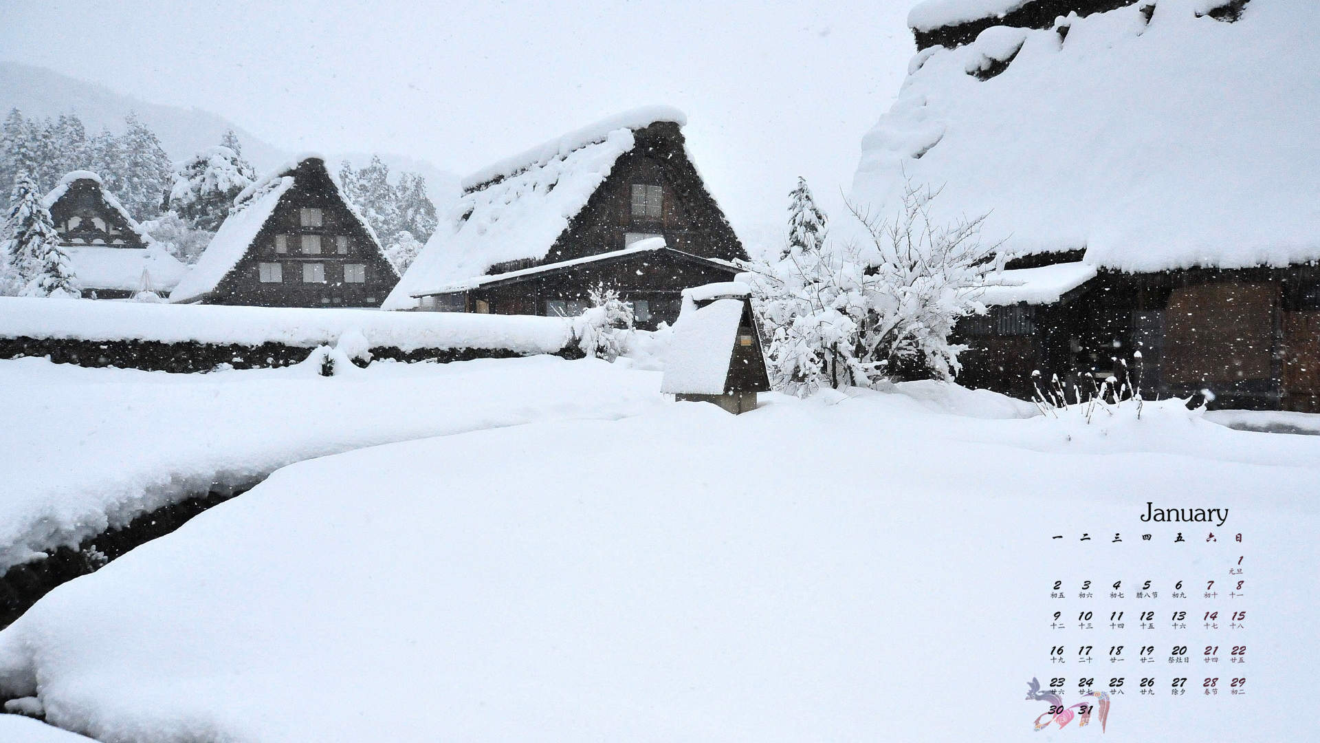 郑秀妍日本函馆冬日雪景唯美写真图片图片