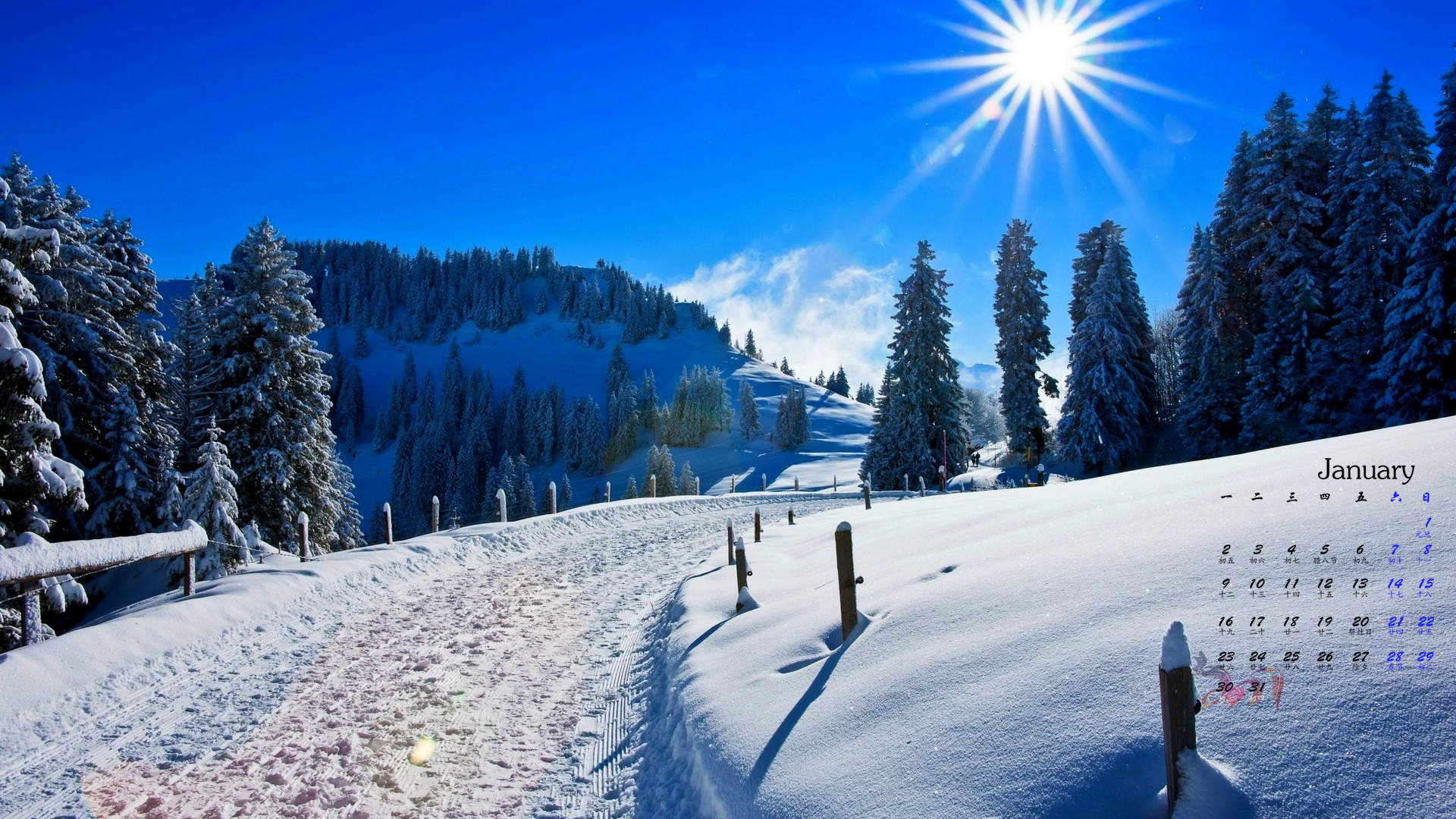 郑秀妍日本函馆冬日雪景唯美写真图片图片
