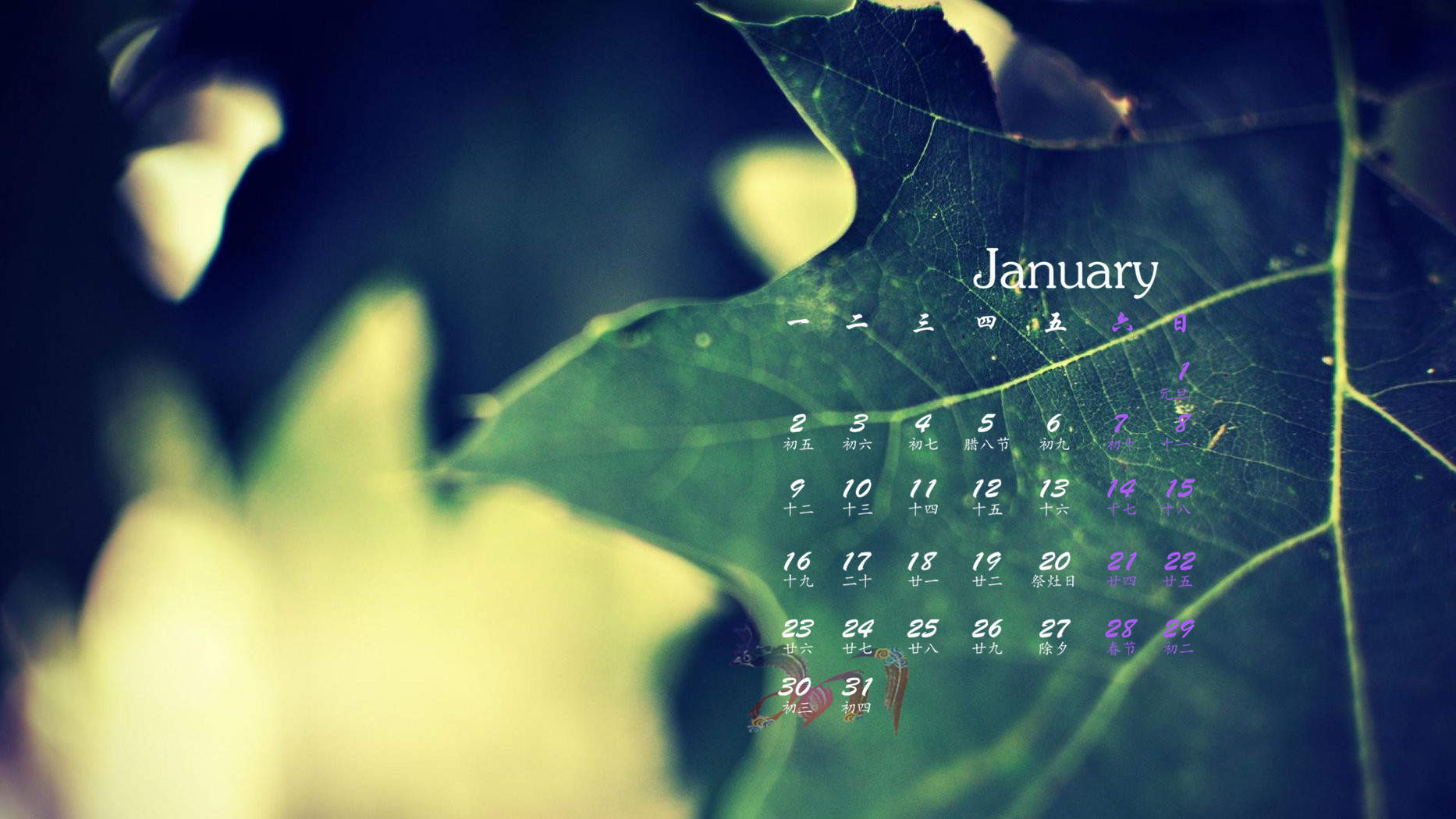 2017年9月秋天的树叶摄影高清日历壁纸图片