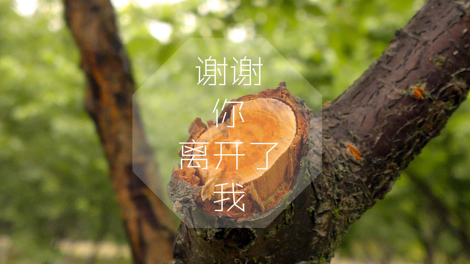 创意伤感文字高清手机壁纸图片
