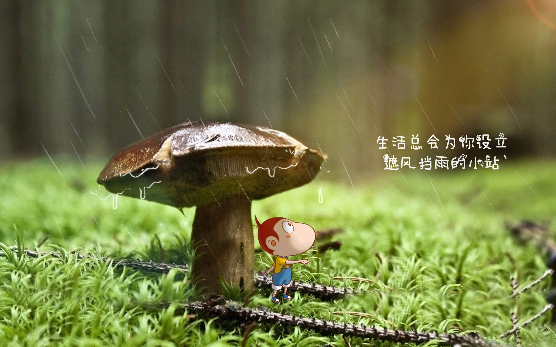 精选励志文字语录创意图片手机壁纸图片