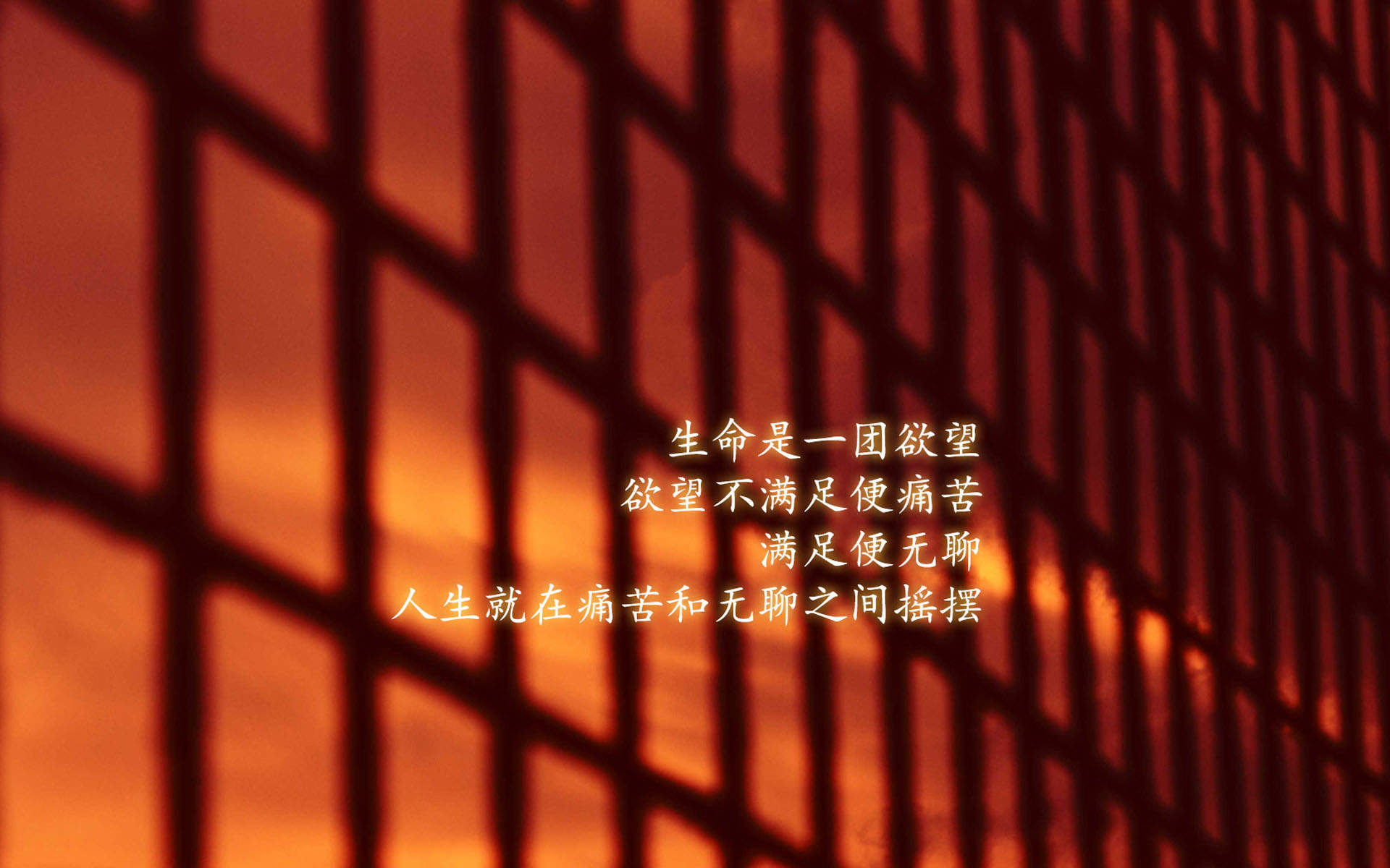 精选励志文字语录图片手机壁纸图片