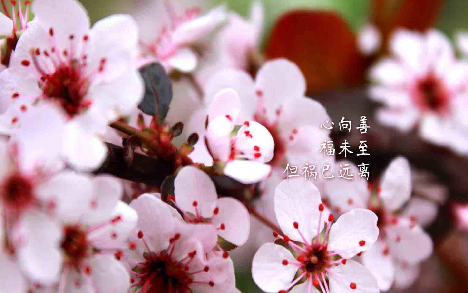 创意励志减肥文字高清手机壁纸图片