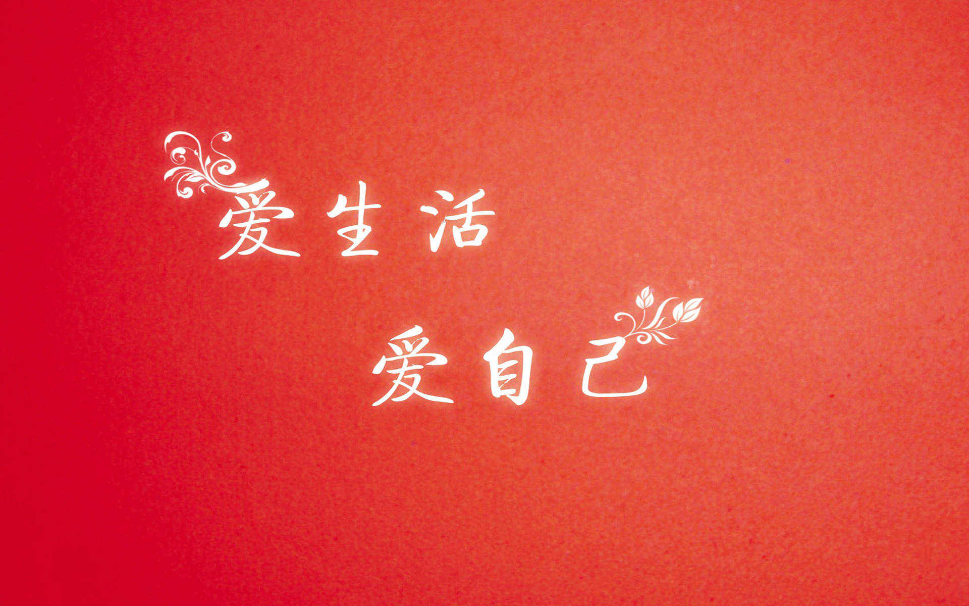 精选励志文字语录图片手机壁纸图片