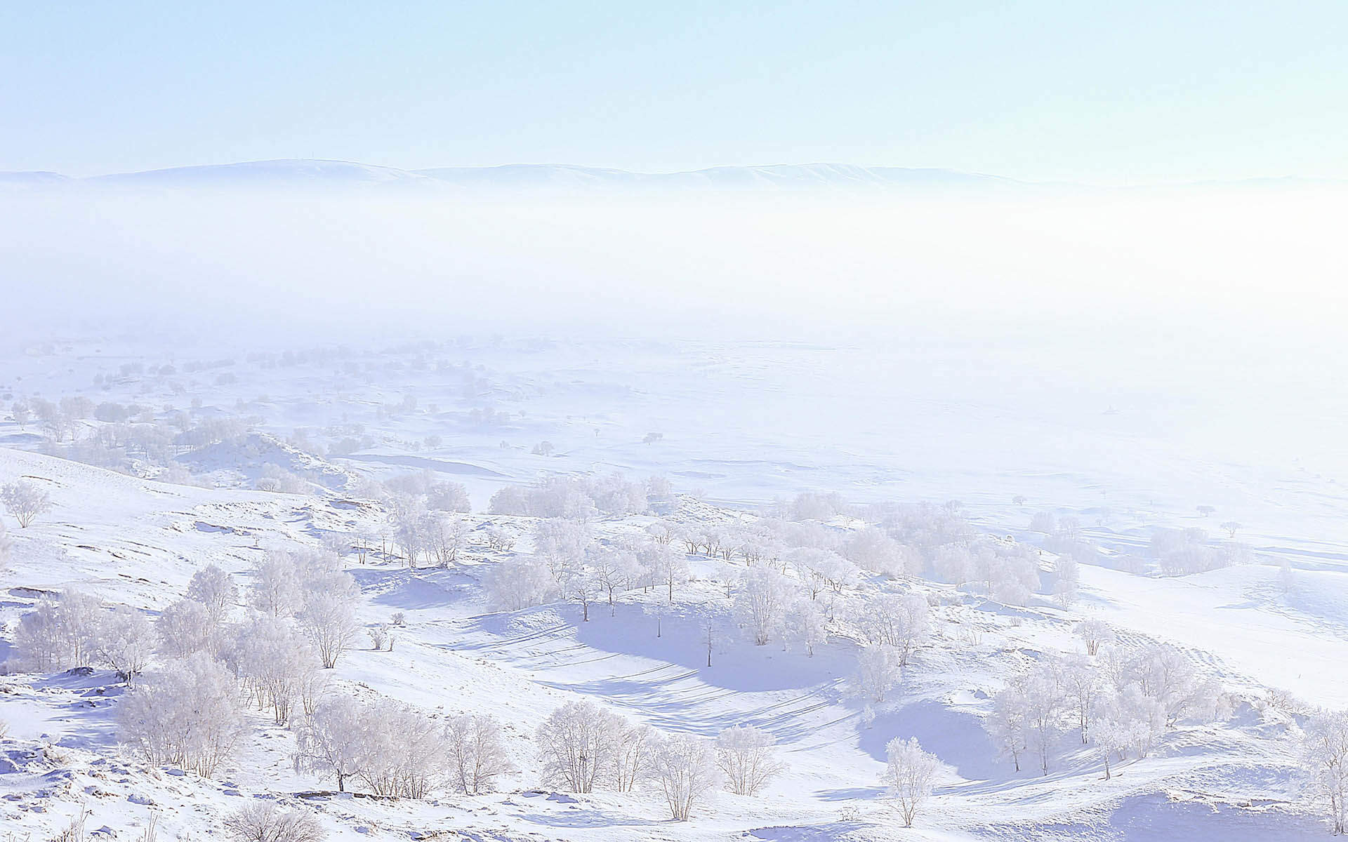 郑秀妍日本函馆冬日雪景唯美写真图片图片