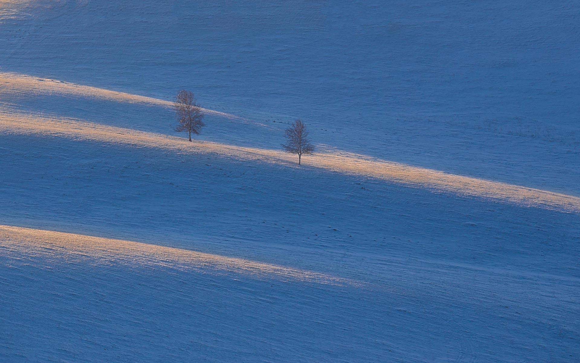 郑秀妍日本函馆冬日雪景唯美写真图片图片