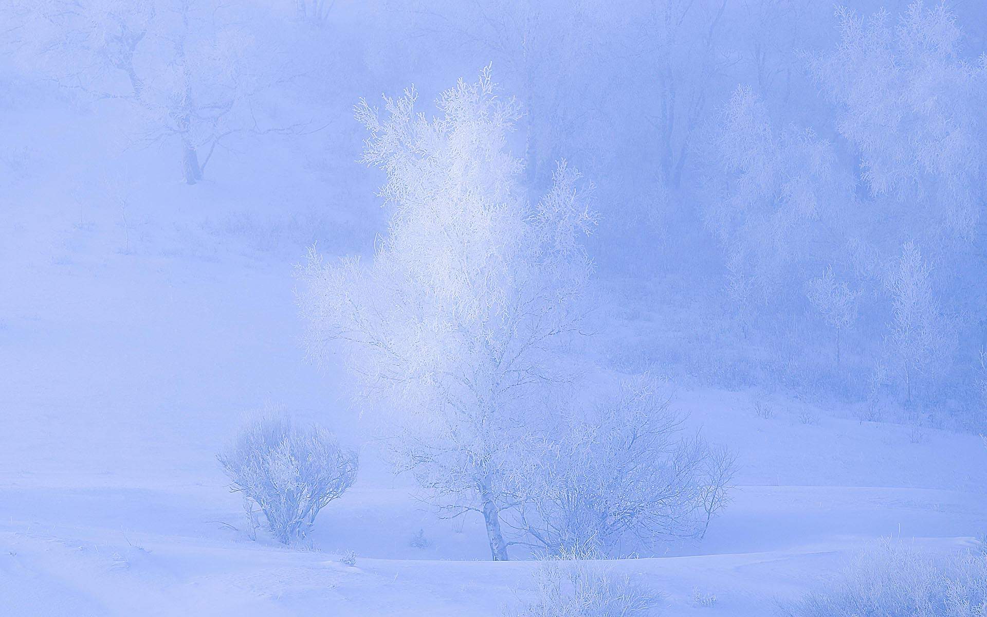 郑秀妍日本函馆冬日雪景唯美写真图片图片