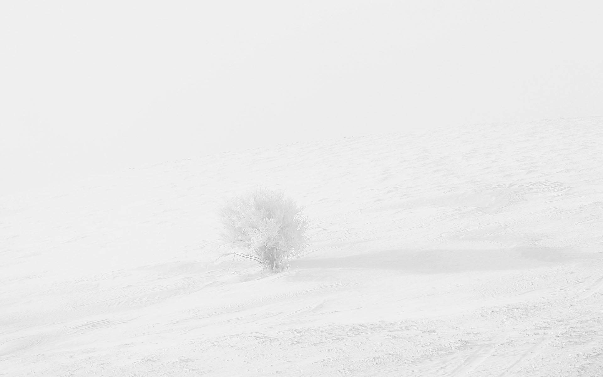 郑秀妍日本函馆冬日雪景唯美写真图片图片