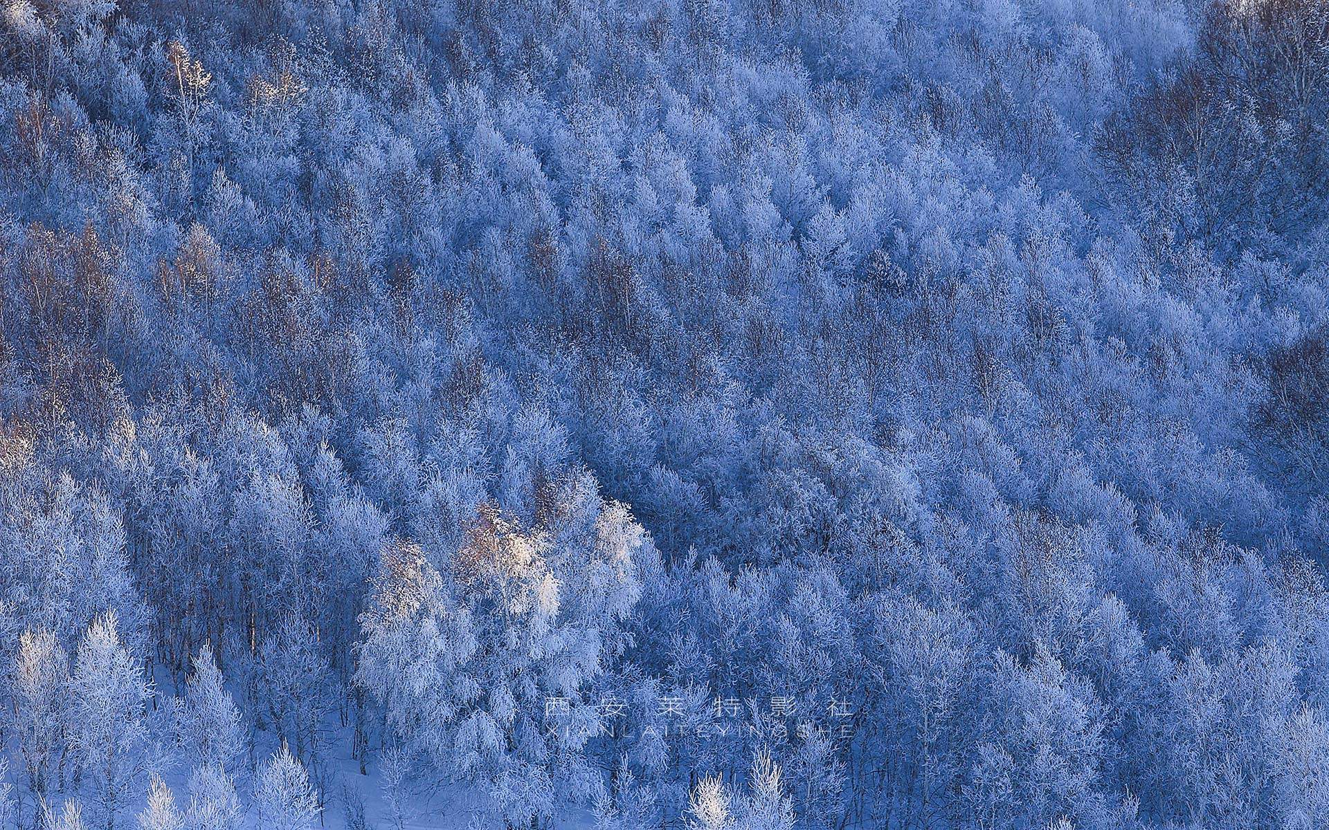 郑秀妍日本函馆冬日雪景唯美写真图片图片
