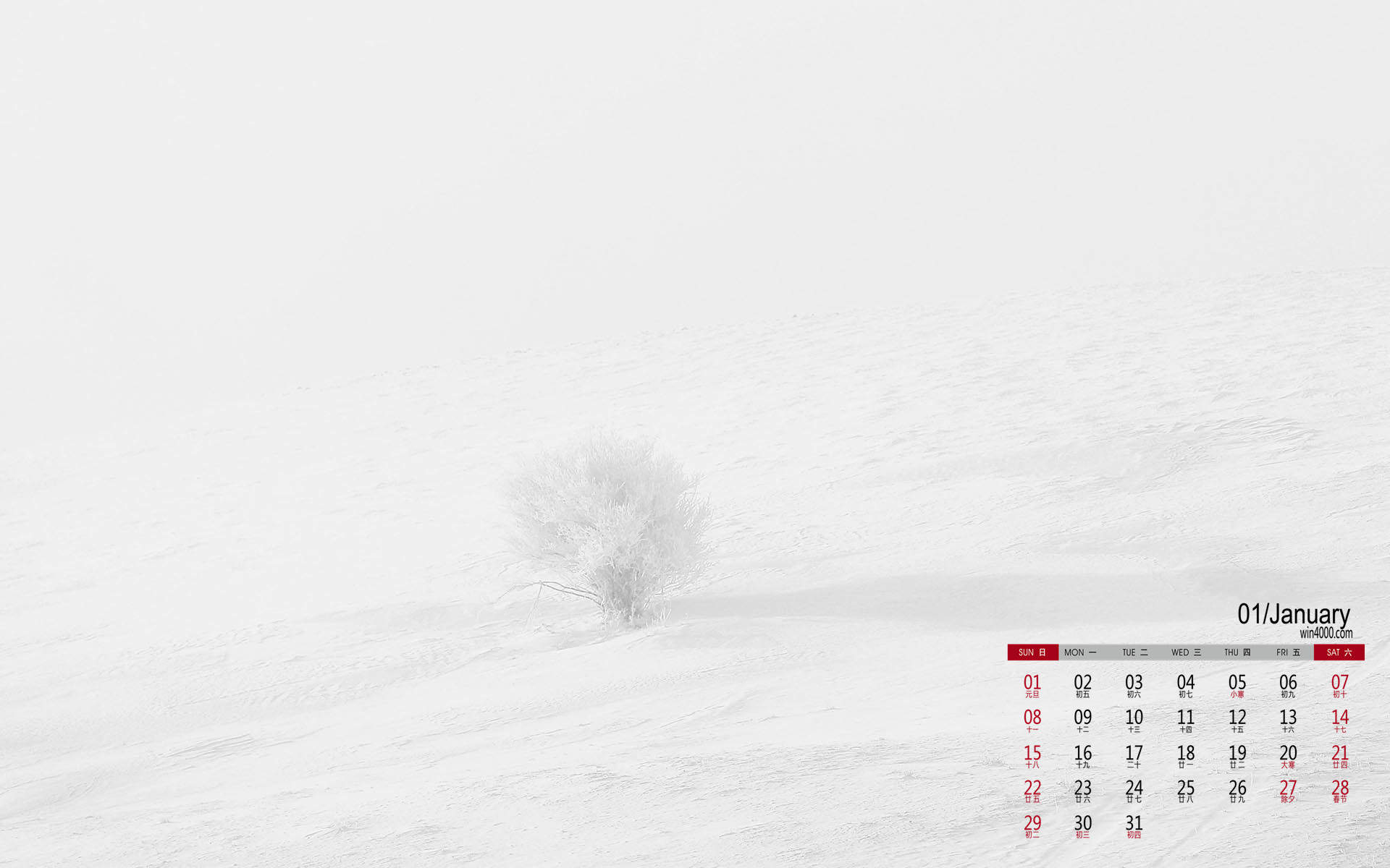 郑秀妍日本函馆冬日雪景唯美写真图片图片