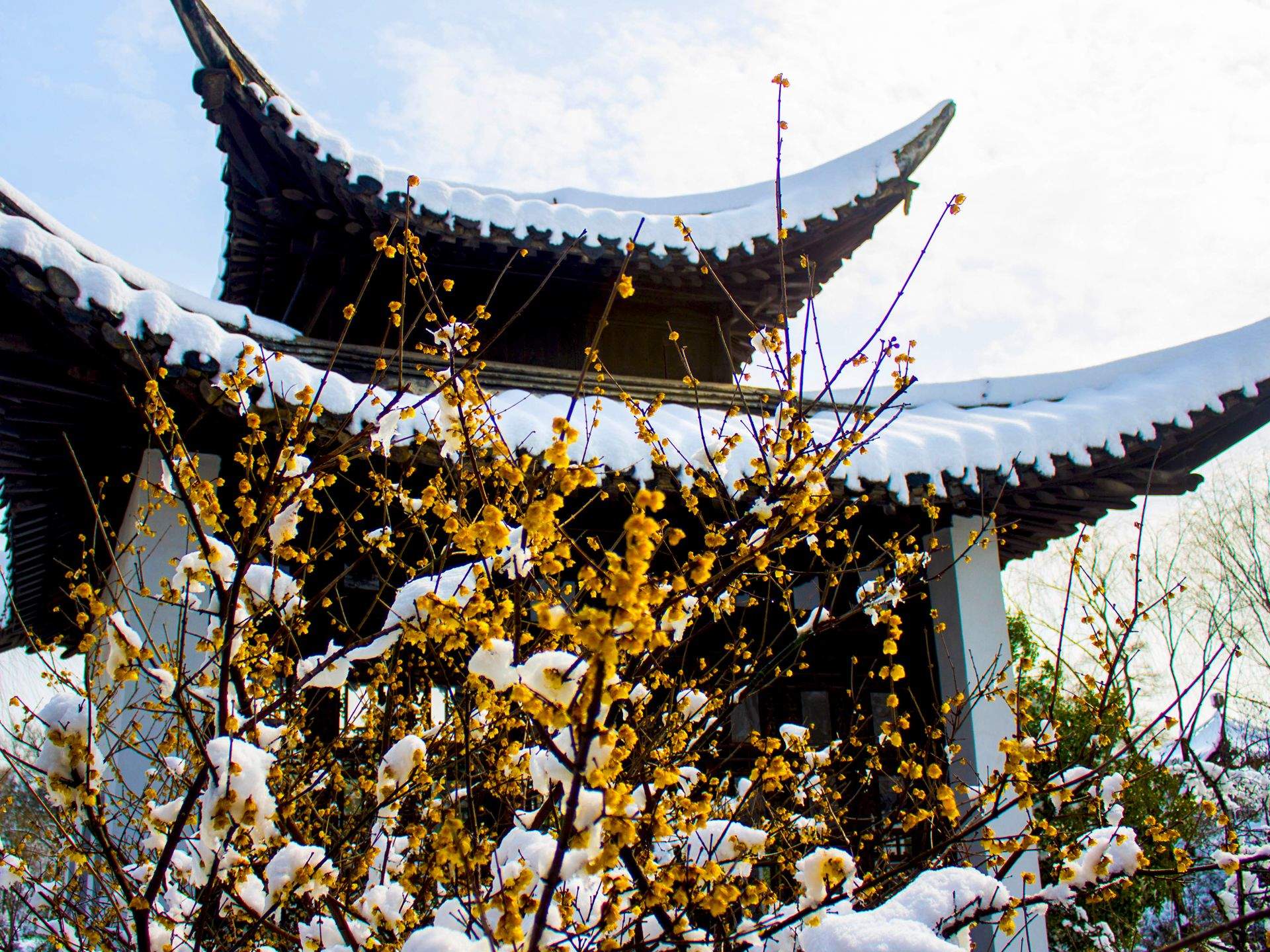 郑秀妍日本函馆冬日雪景唯美写真图片图片
