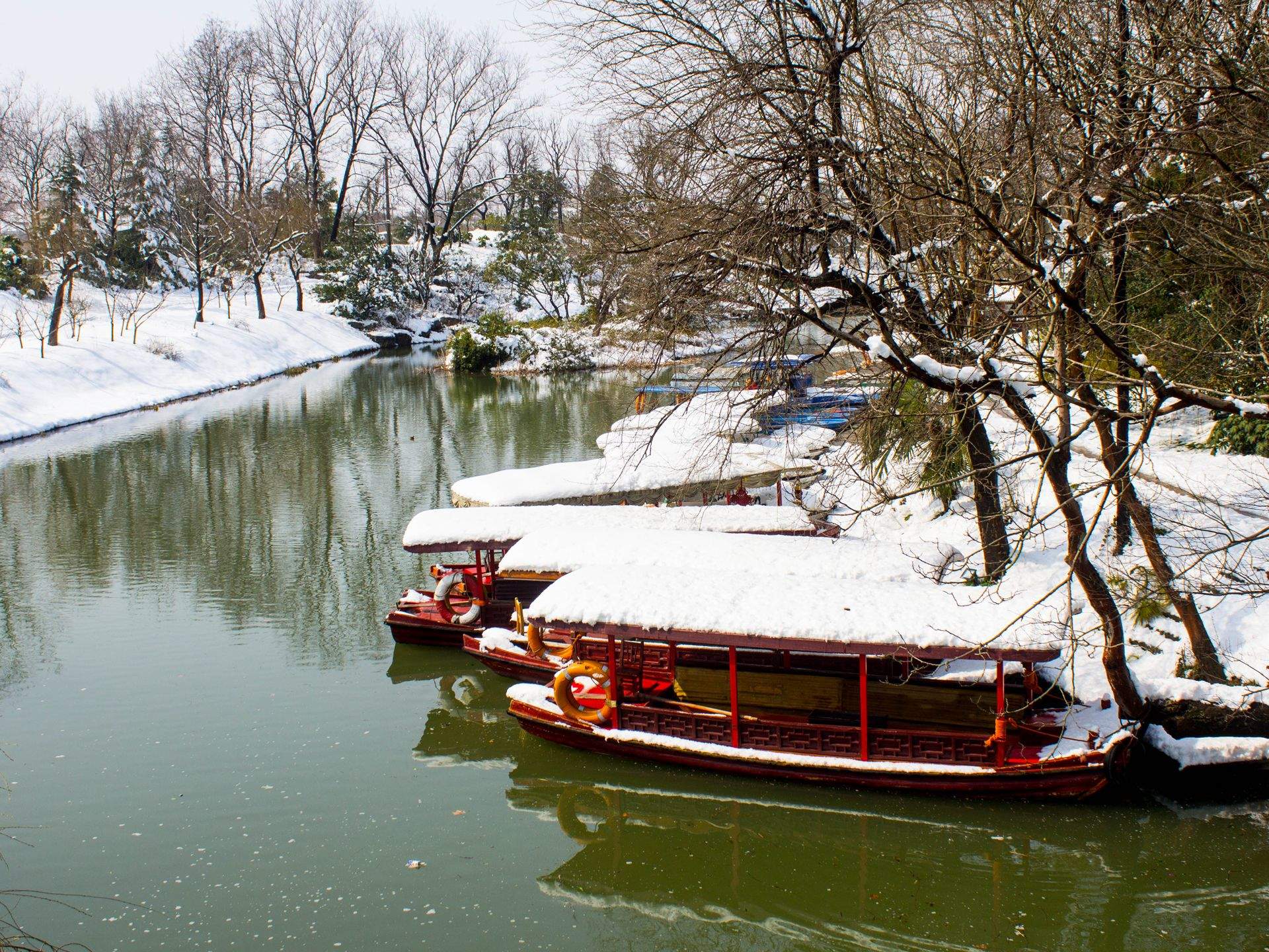 郑秀妍日本函馆冬日雪景唯美写真图片图片
