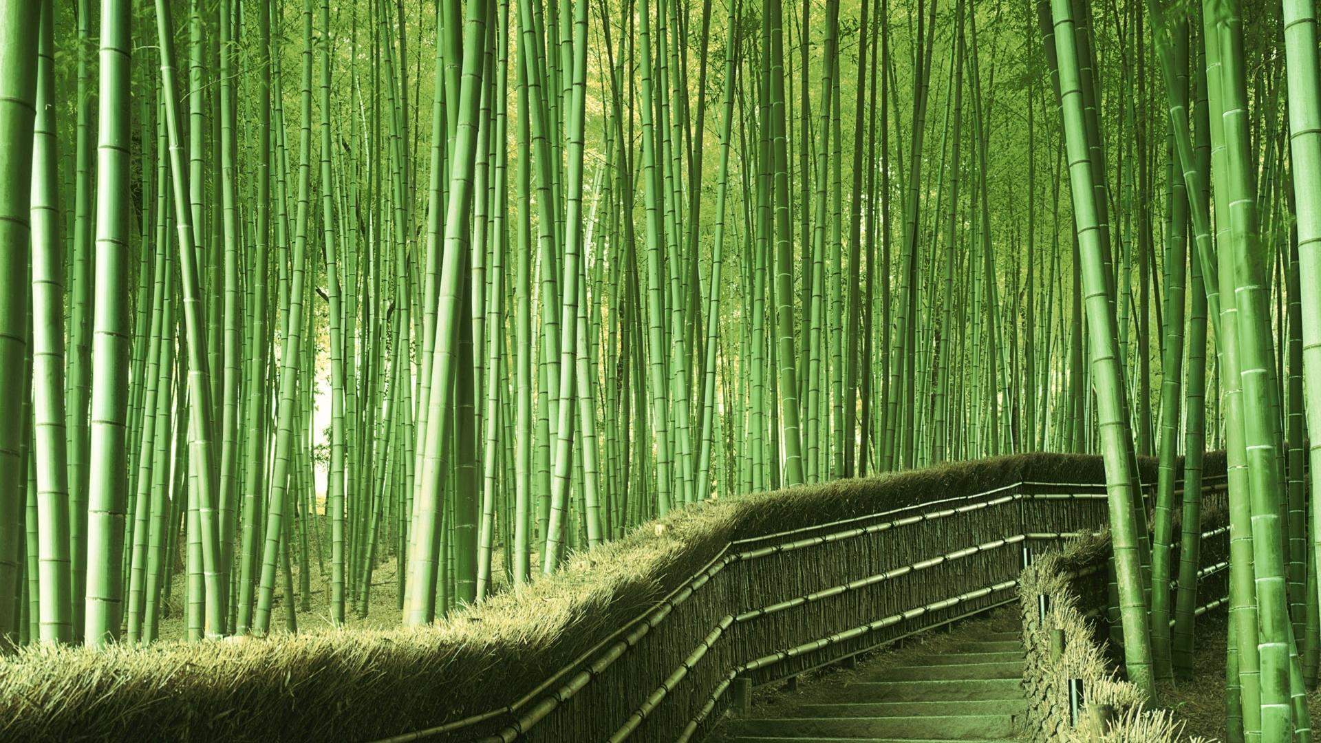 山水风景图片