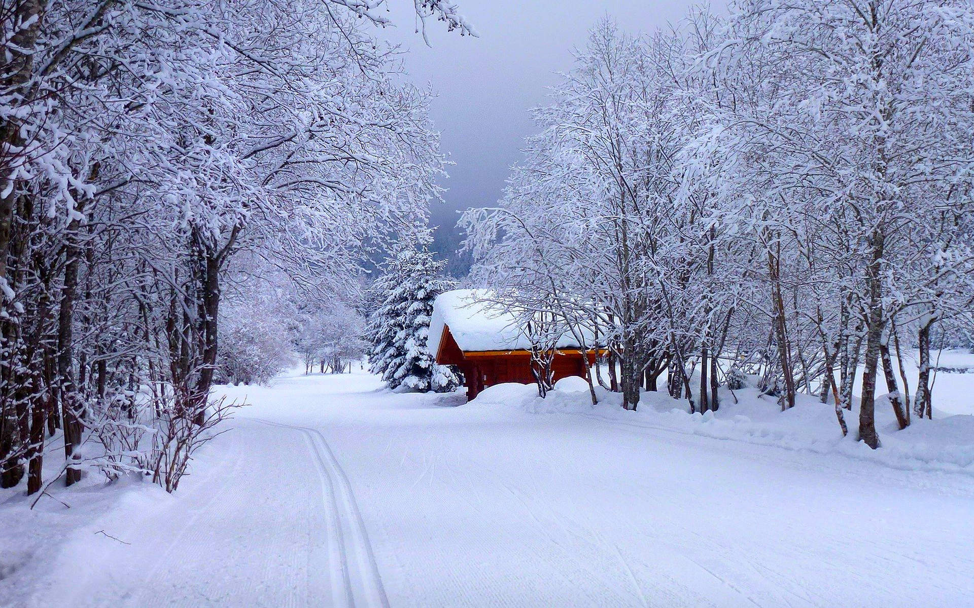 雪景桌面图片