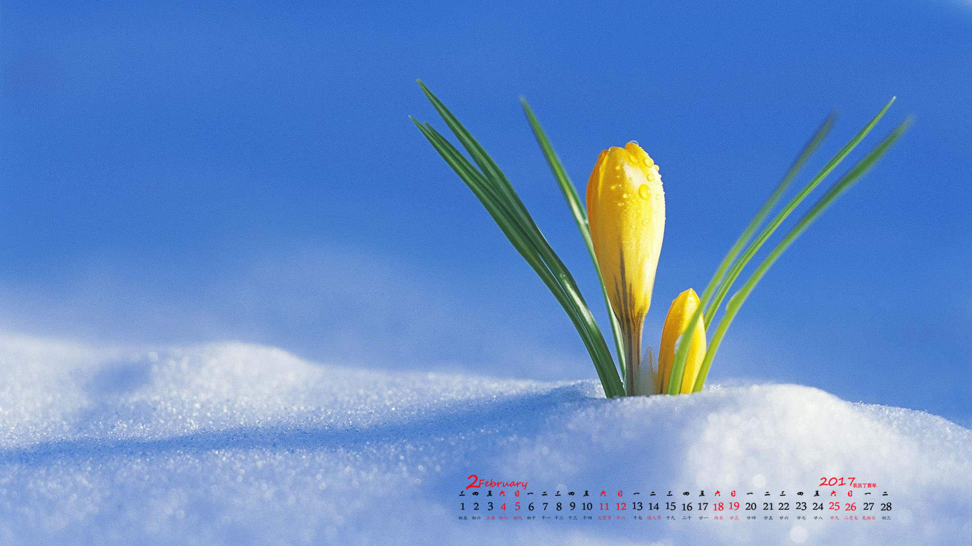 郑秀妍日本函馆冬日雪景唯美写真图片图片