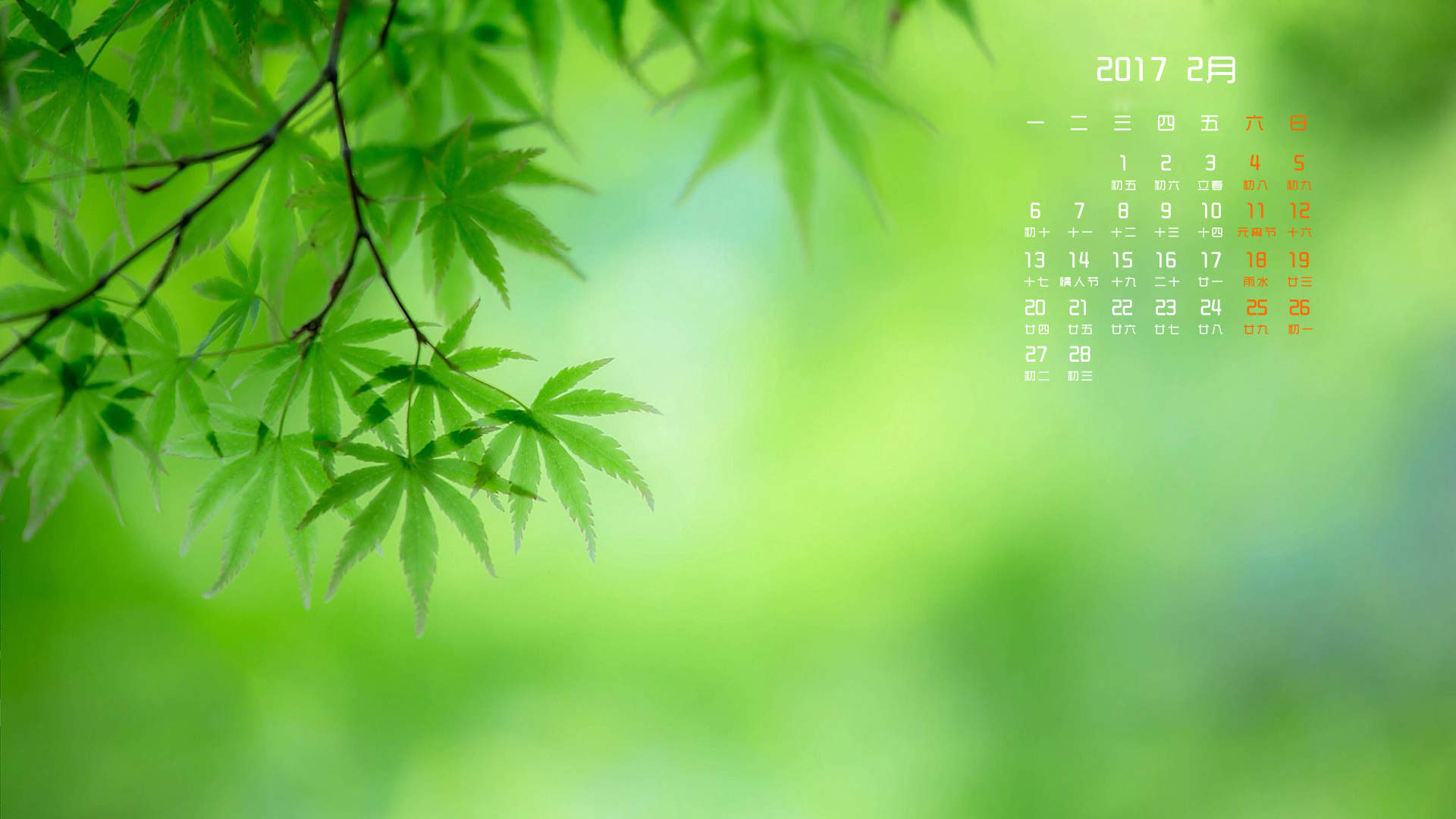 2017年2月树叶树枝绿色自然护眼桌面日历壁纸图片