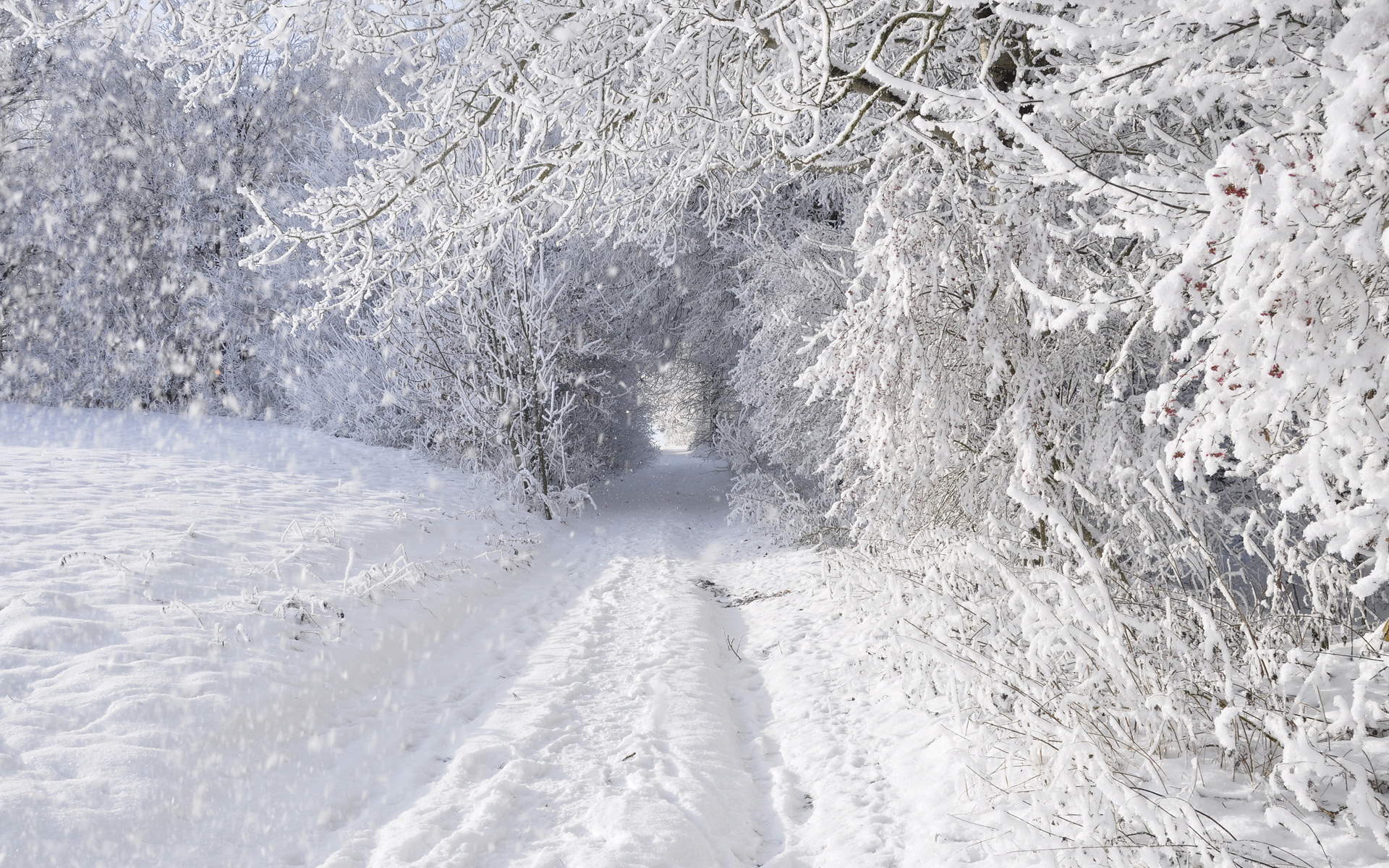 雪景桌面图片
