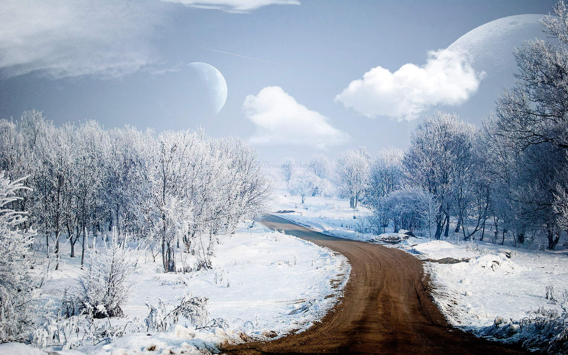 雪景桌面图片