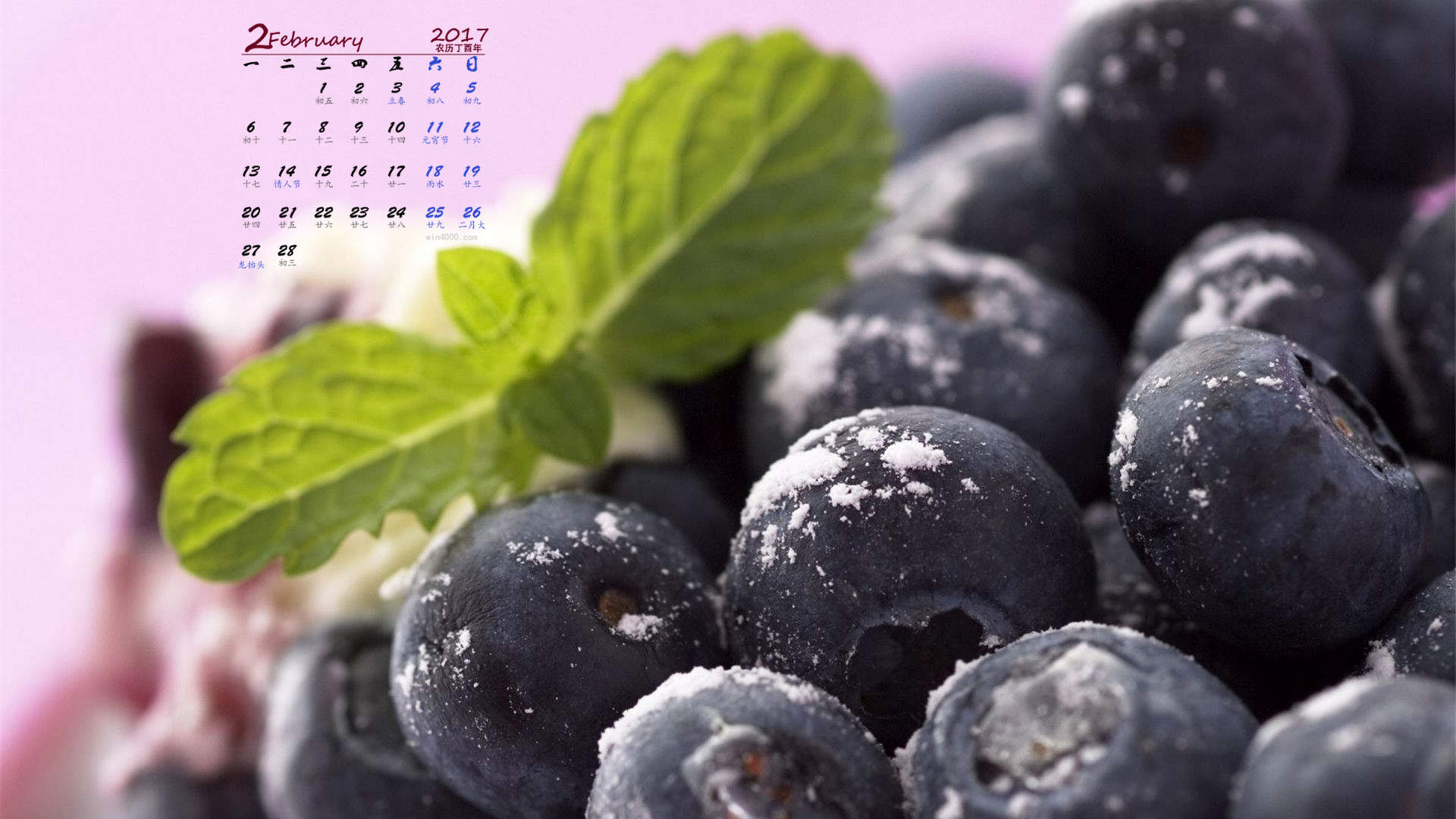 笨笨鼠2020美食主题蓝莓蛋糕鼠年手机壁纸图片