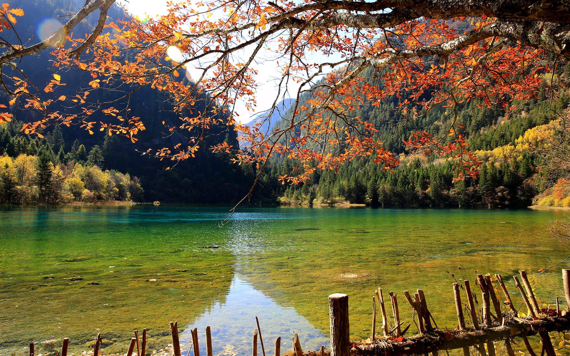 九寨沟图片