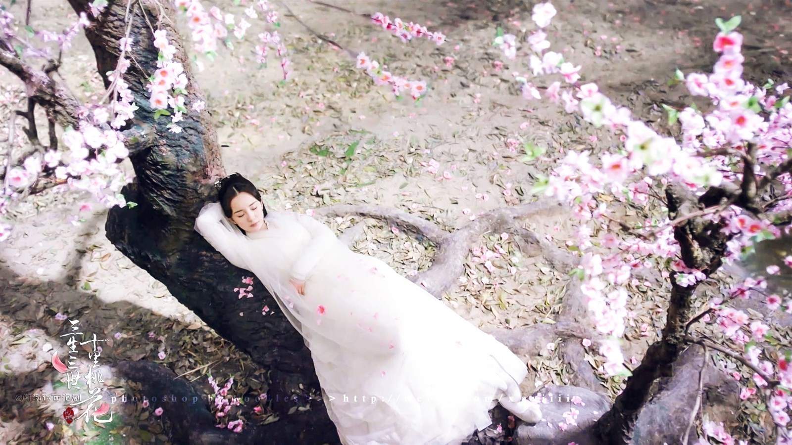 高清神话仙侠剧照影版《三生三世十里桃花》人物剧照高清桌面壁纸图片