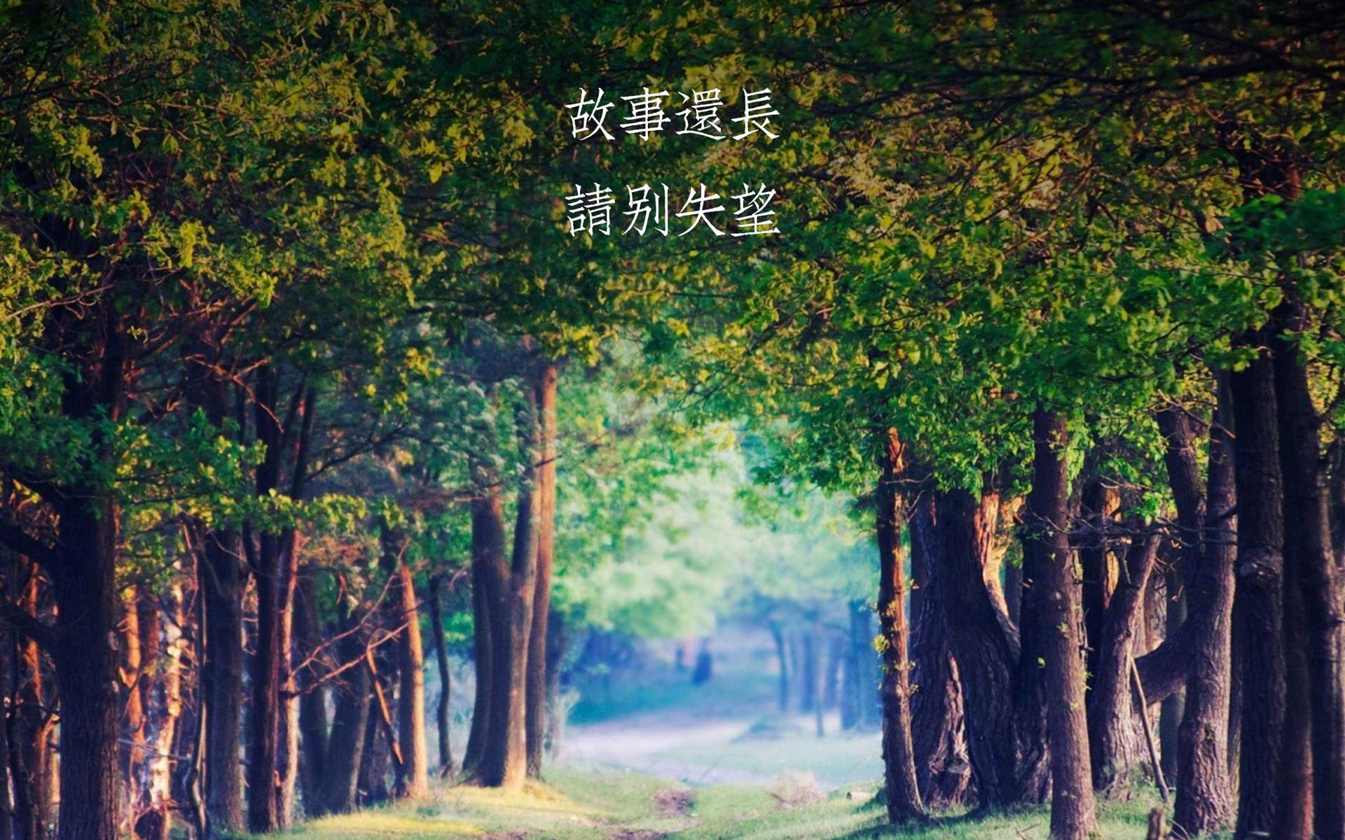 创意励志减肥文字高清手机壁纸图片