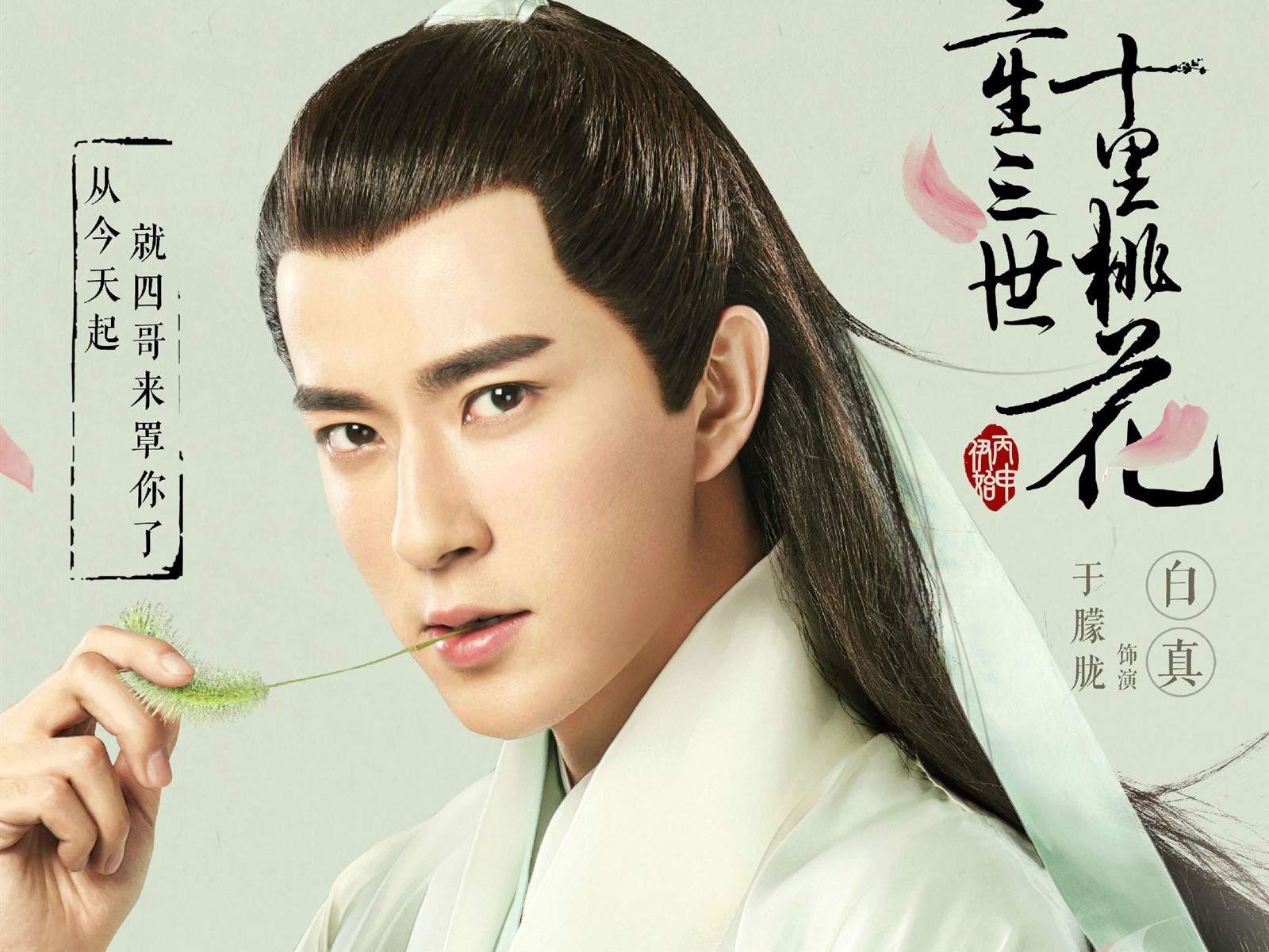 高清神话仙侠剧照《三生三世十里桃花》Q版人物海报高清图片图片