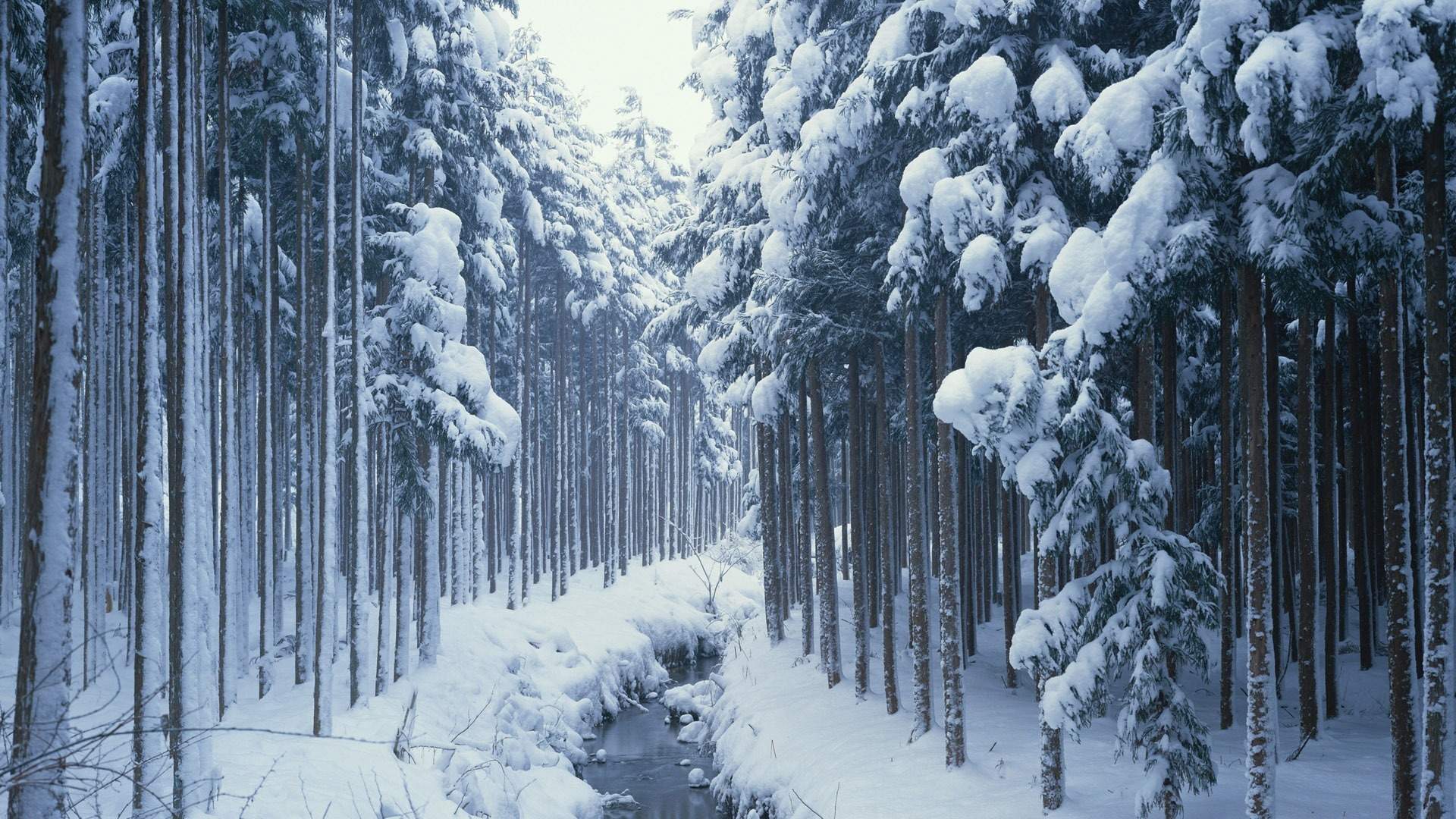 唯美大海手机风景壁纸图片图片
