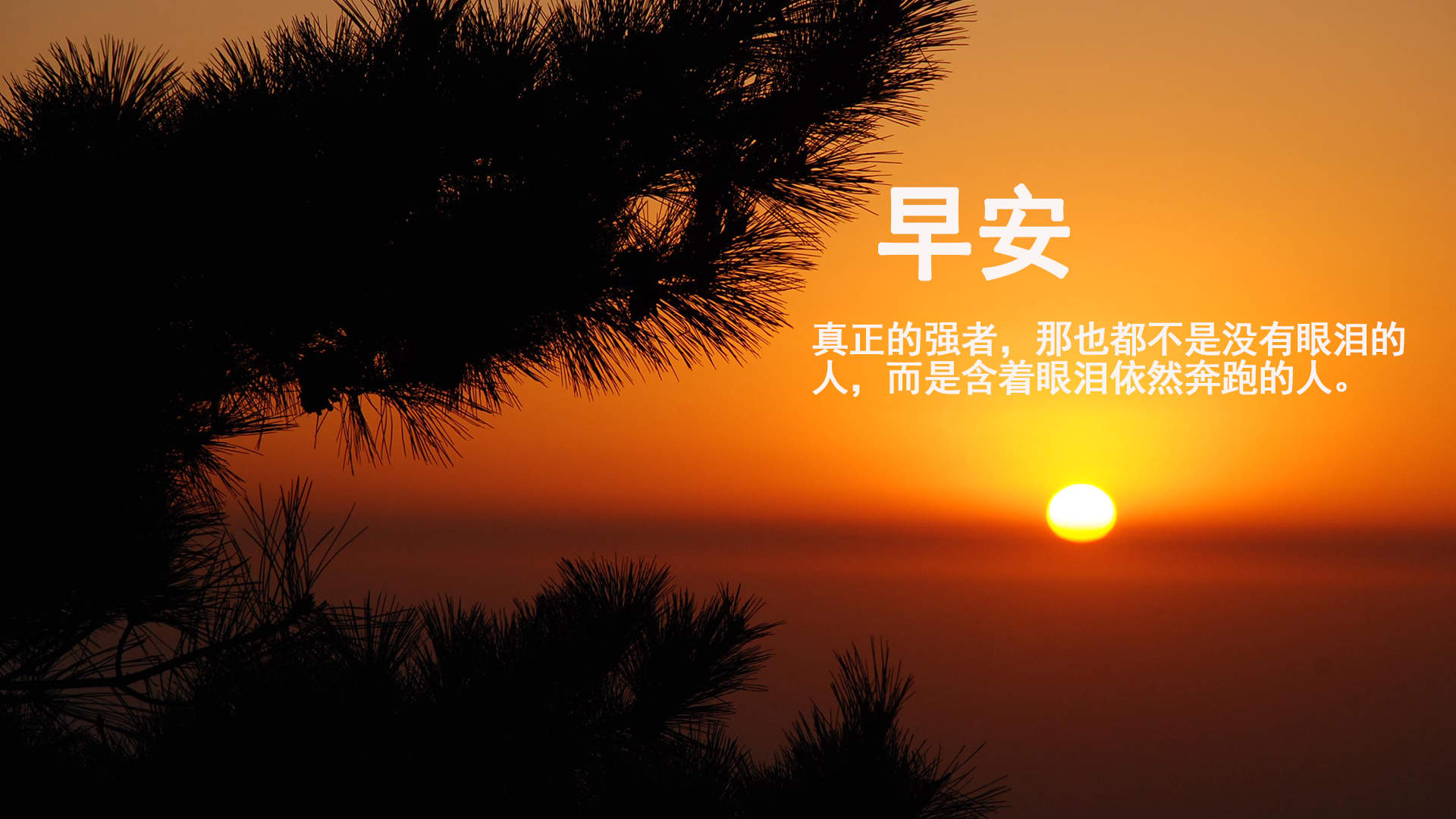 精选励志文字语录创意图片手机壁纸图片