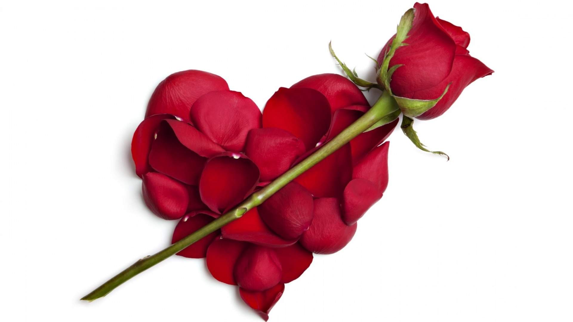 2月14号情人节系列壁纸图片图片