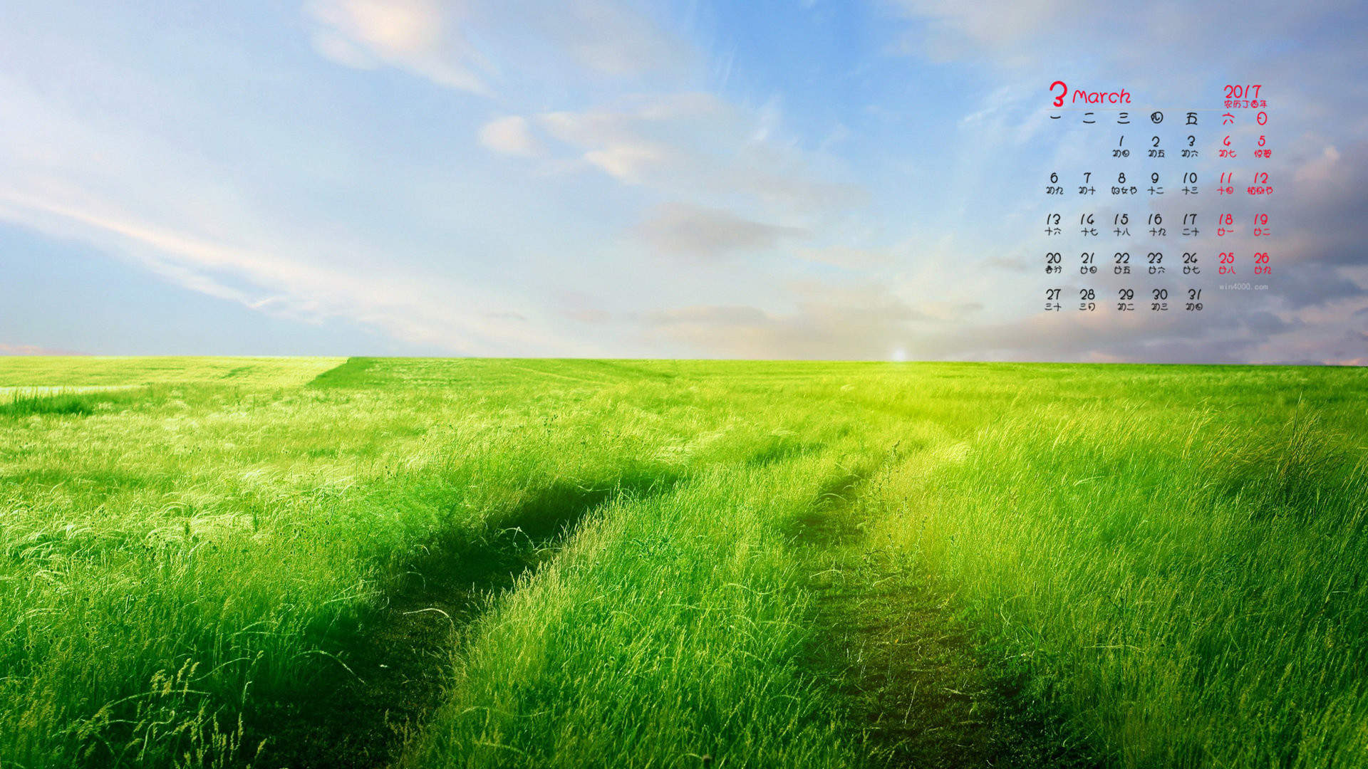 枫叶清新意境风景图片手机壁纸图片