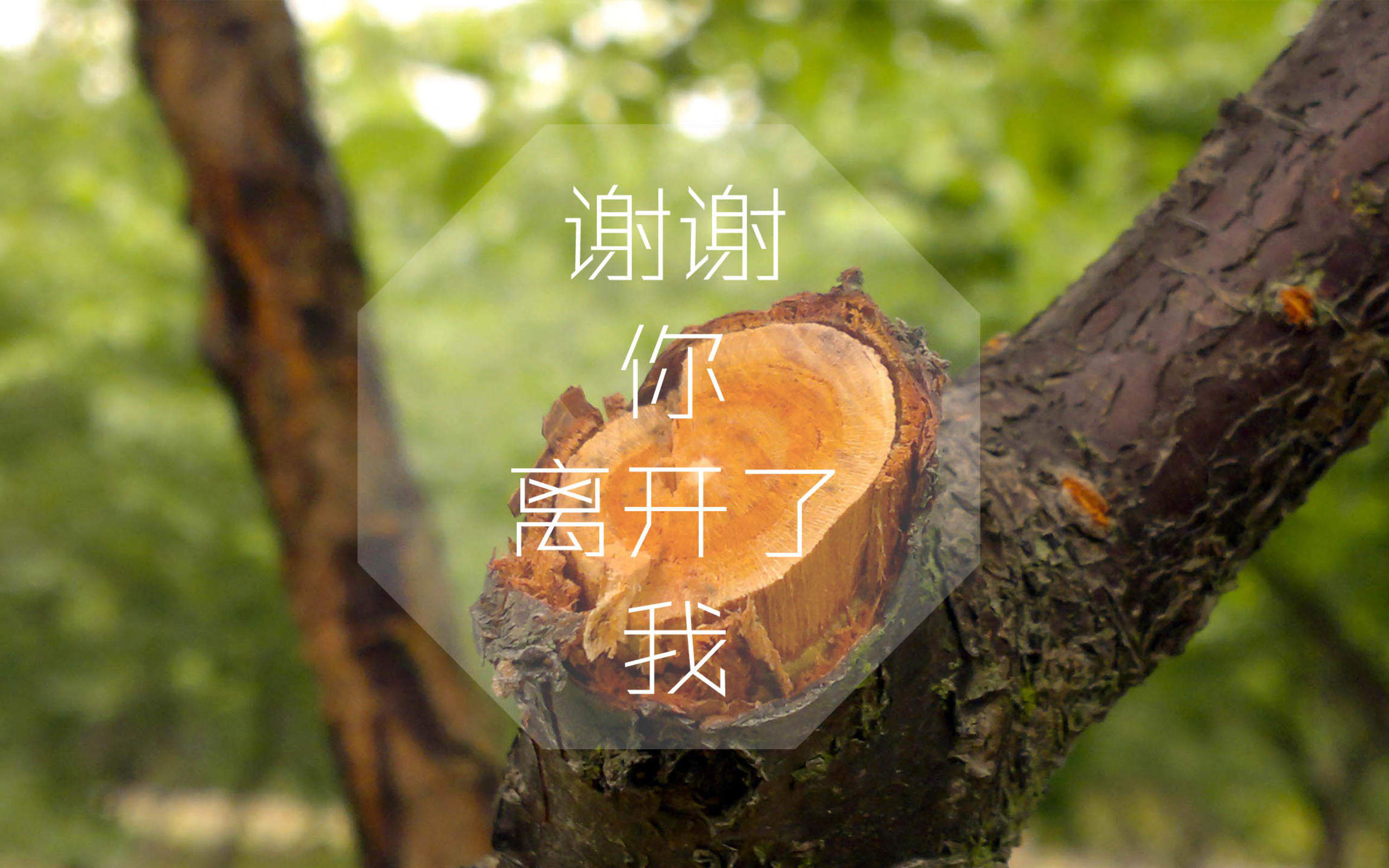 伤感文字系唯美古风高清手机壁纸图片