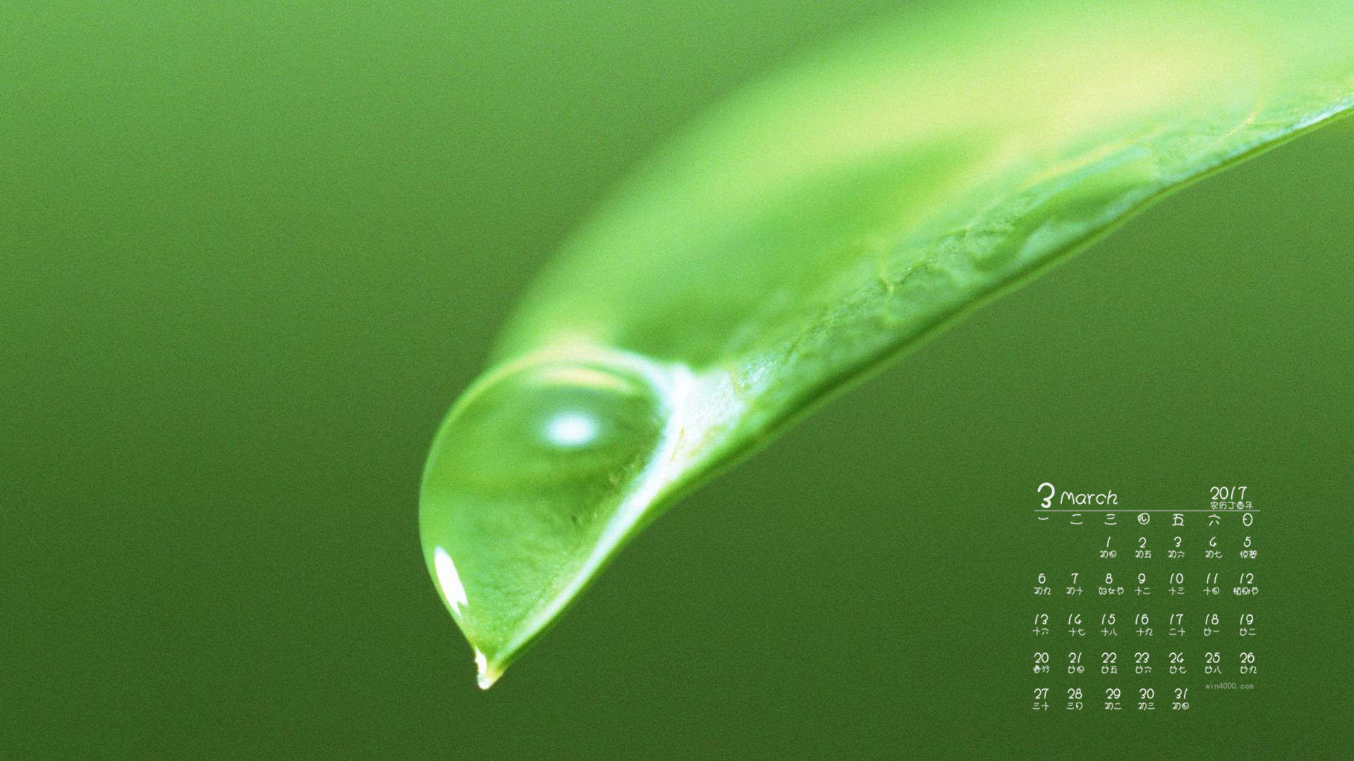 清新护眼绿色嫩芽图片桌面壁纸图片