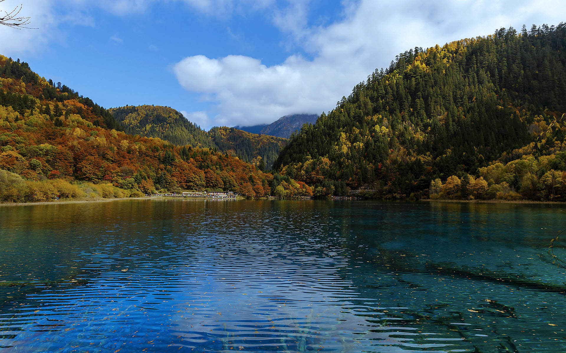 高清美景九寨沟唯美自然风景手机壁纸图片