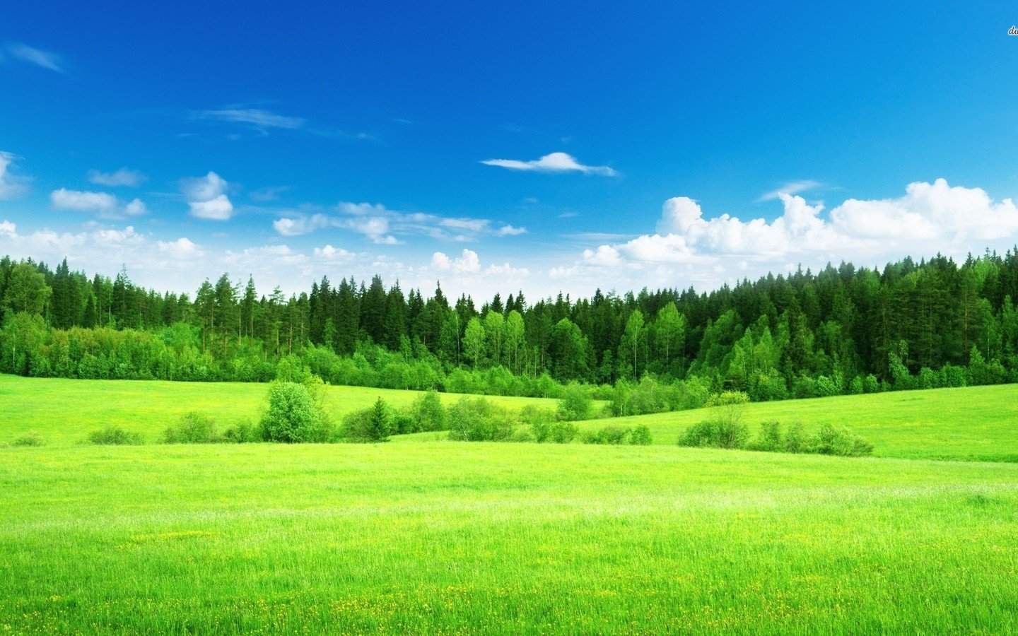 唯美秋季落叶景色图片手机壁纸图片