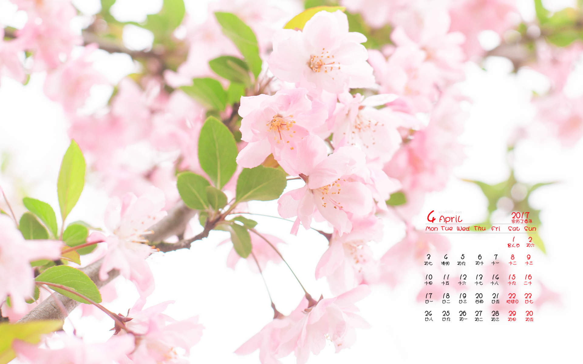 2017年4月唯美樱花日历壁纸图片