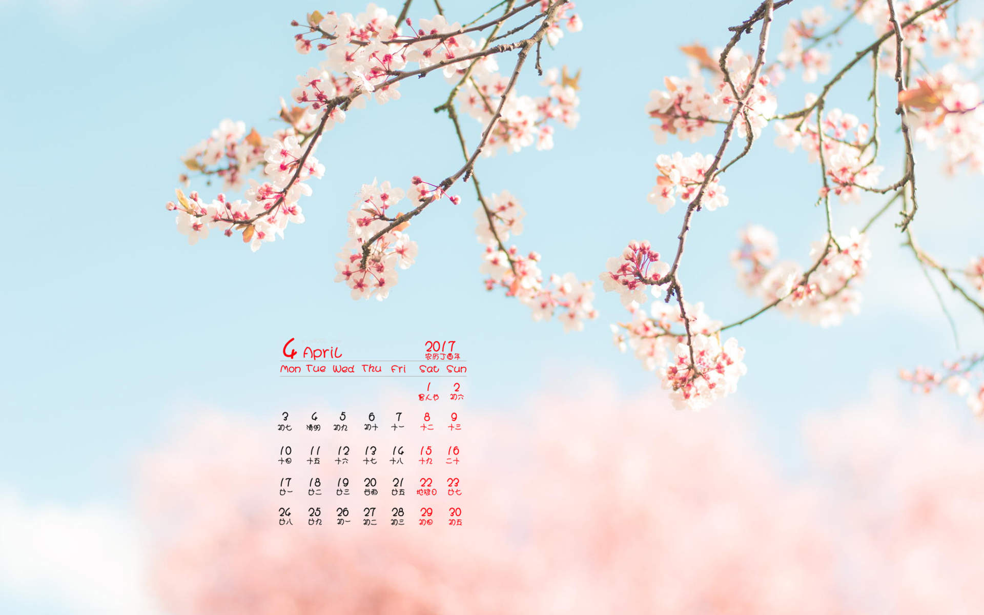 2017年6月唯美好看的樱花高清电脑桌面日历壁纸图片
