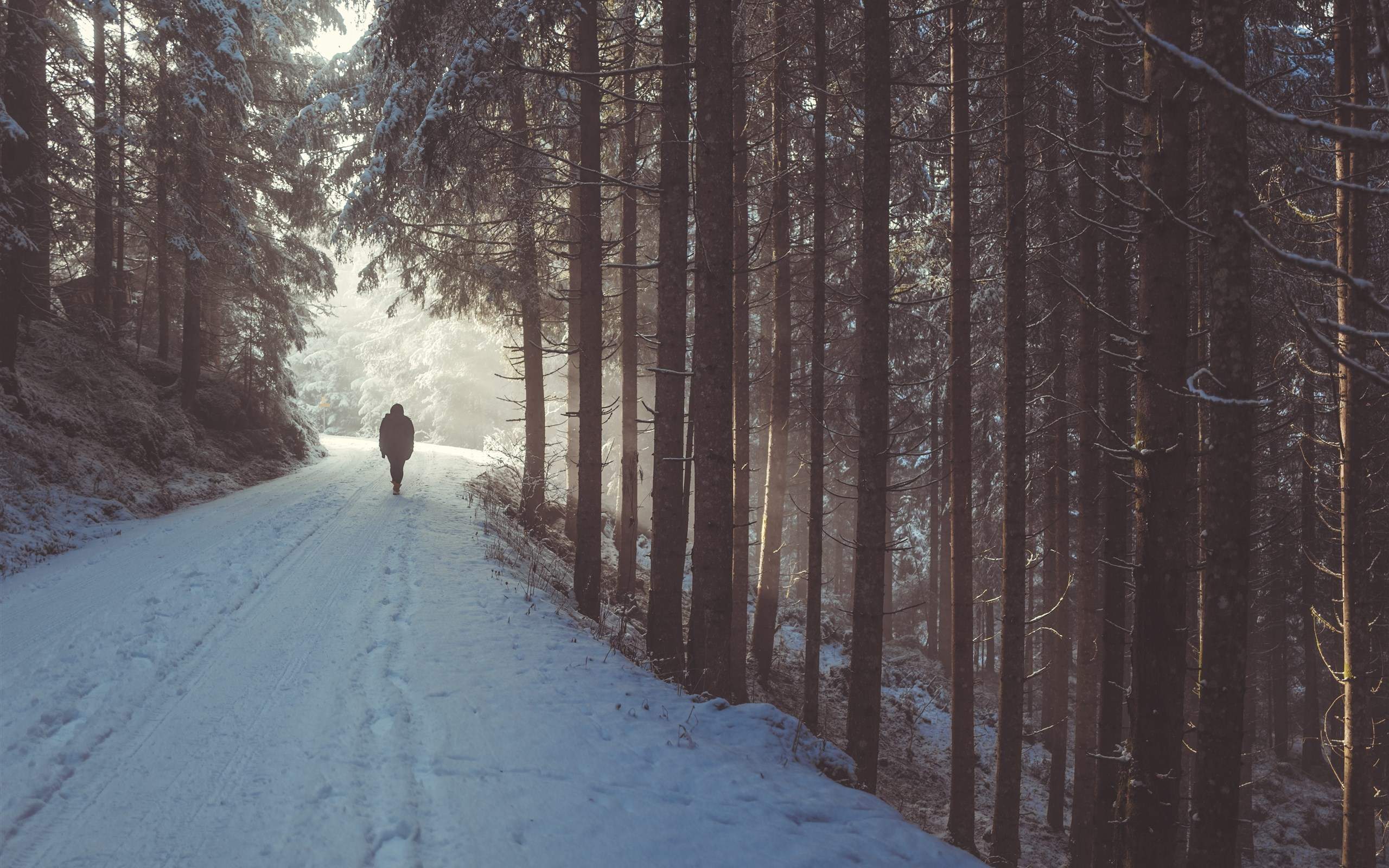 郑秀妍日本函馆冬日雪景唯美写真图片图片