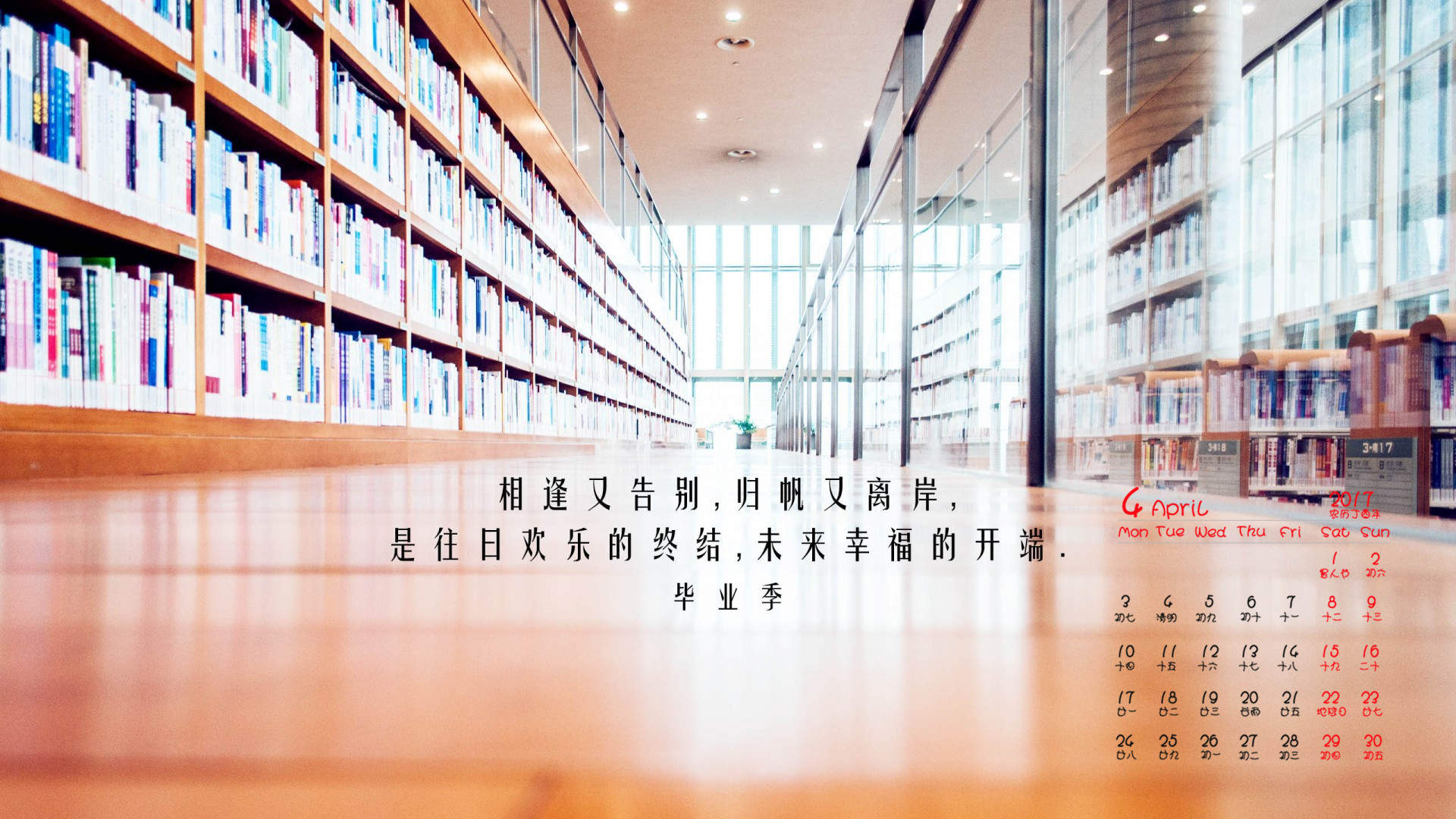 毕业季伤感文字创意图片iPhone手机壁纸下载图片