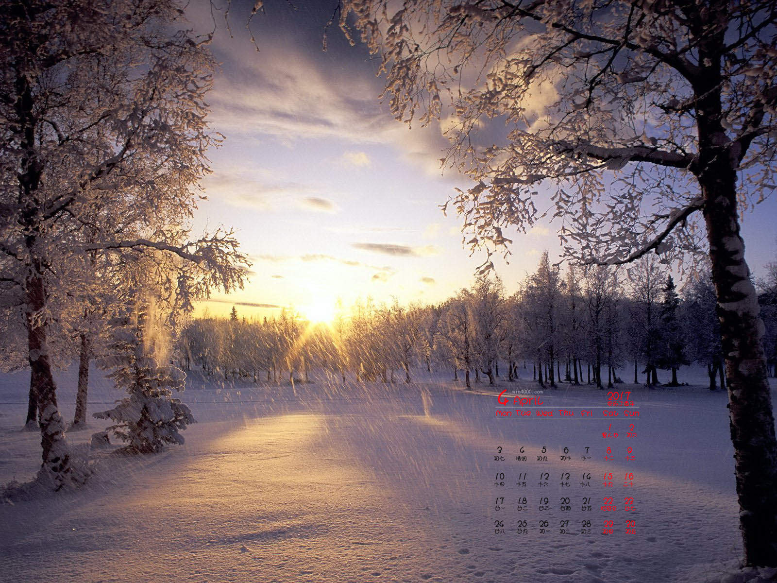 冬日雪景图片