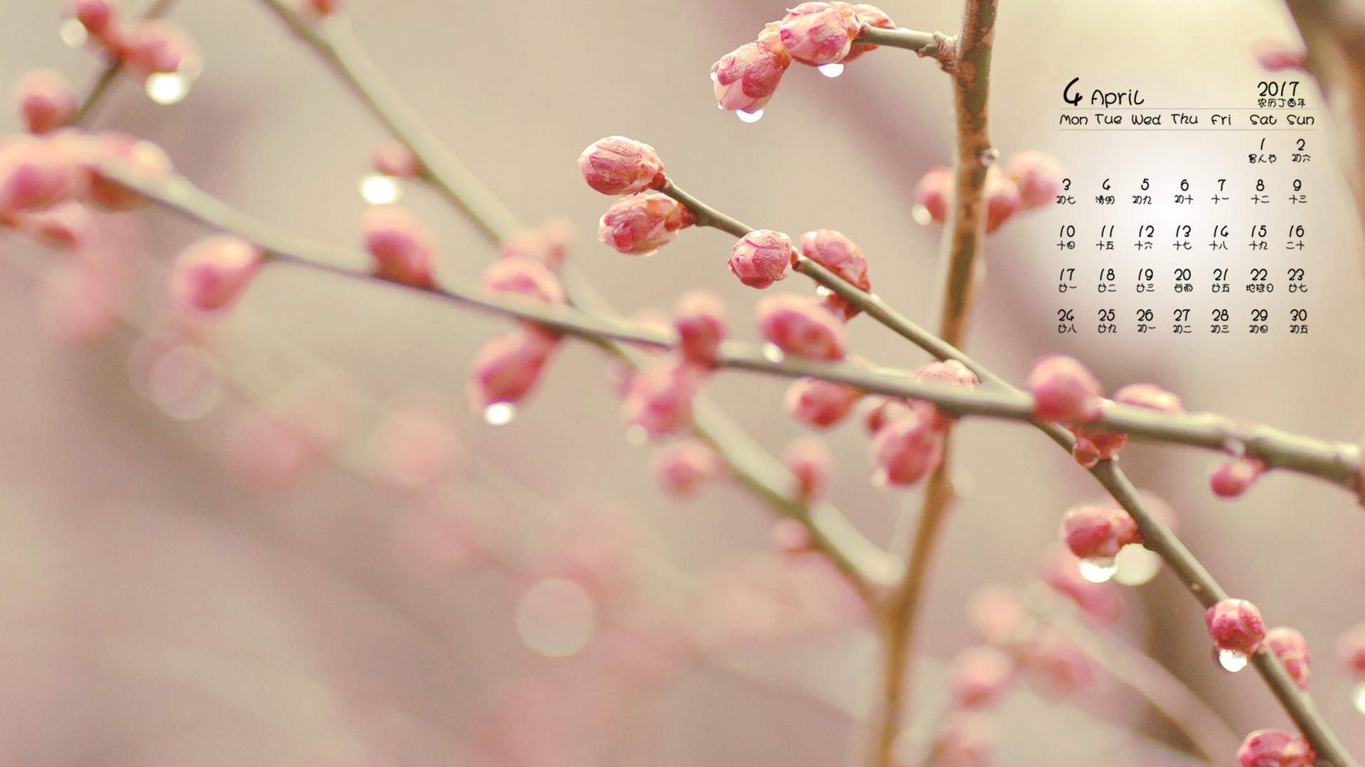 2017年4月春天春景好看的风景日历壁纸图片
