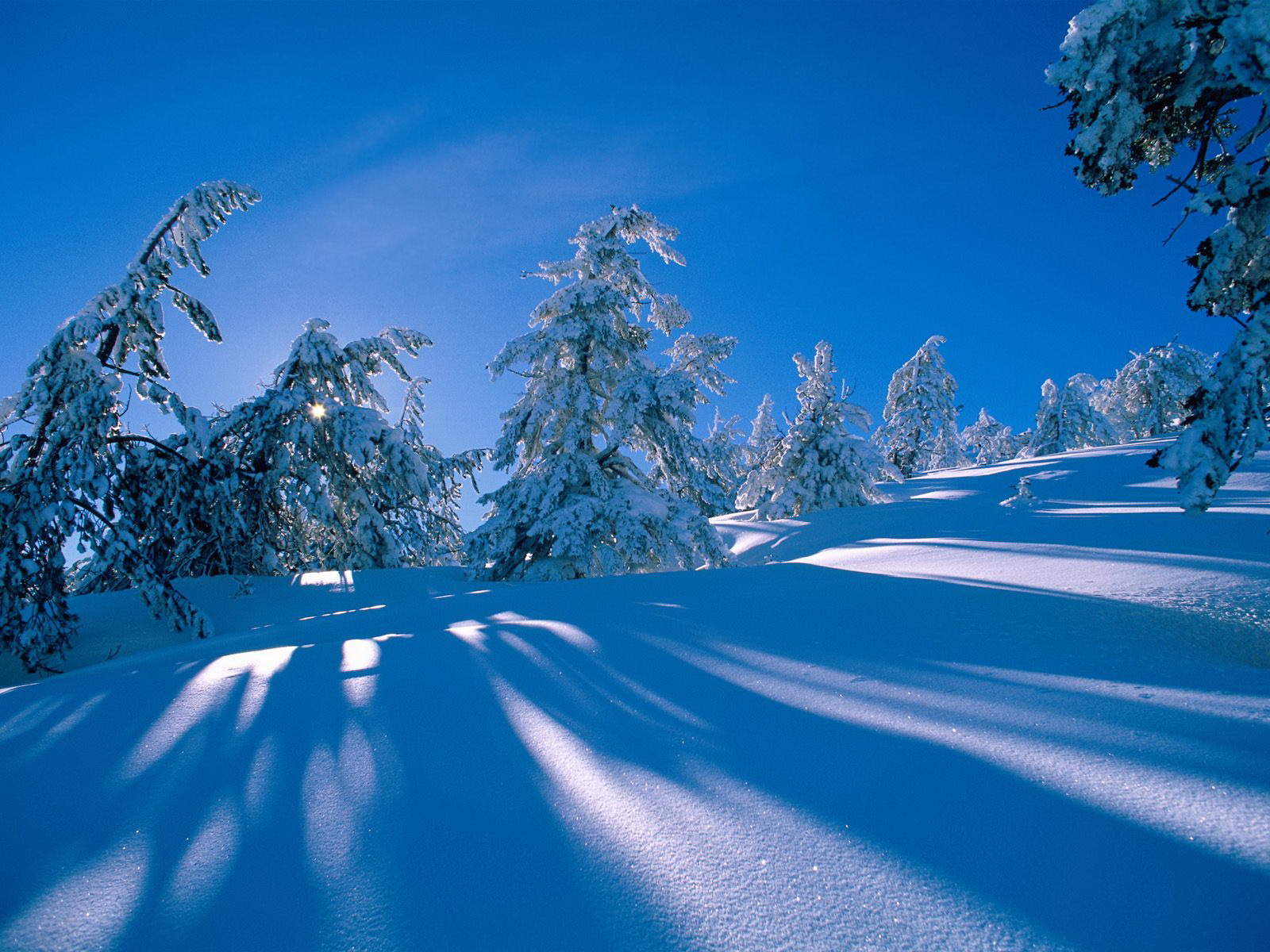 郑秀妍日本函馆冬日雪景唯美写真图片图片