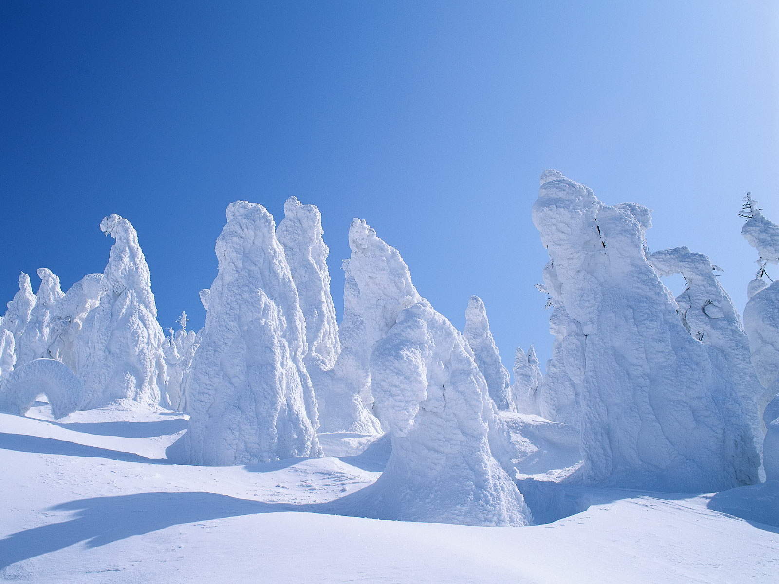 郑秀妍日本函馆冬日雪景唯美写真图片图片