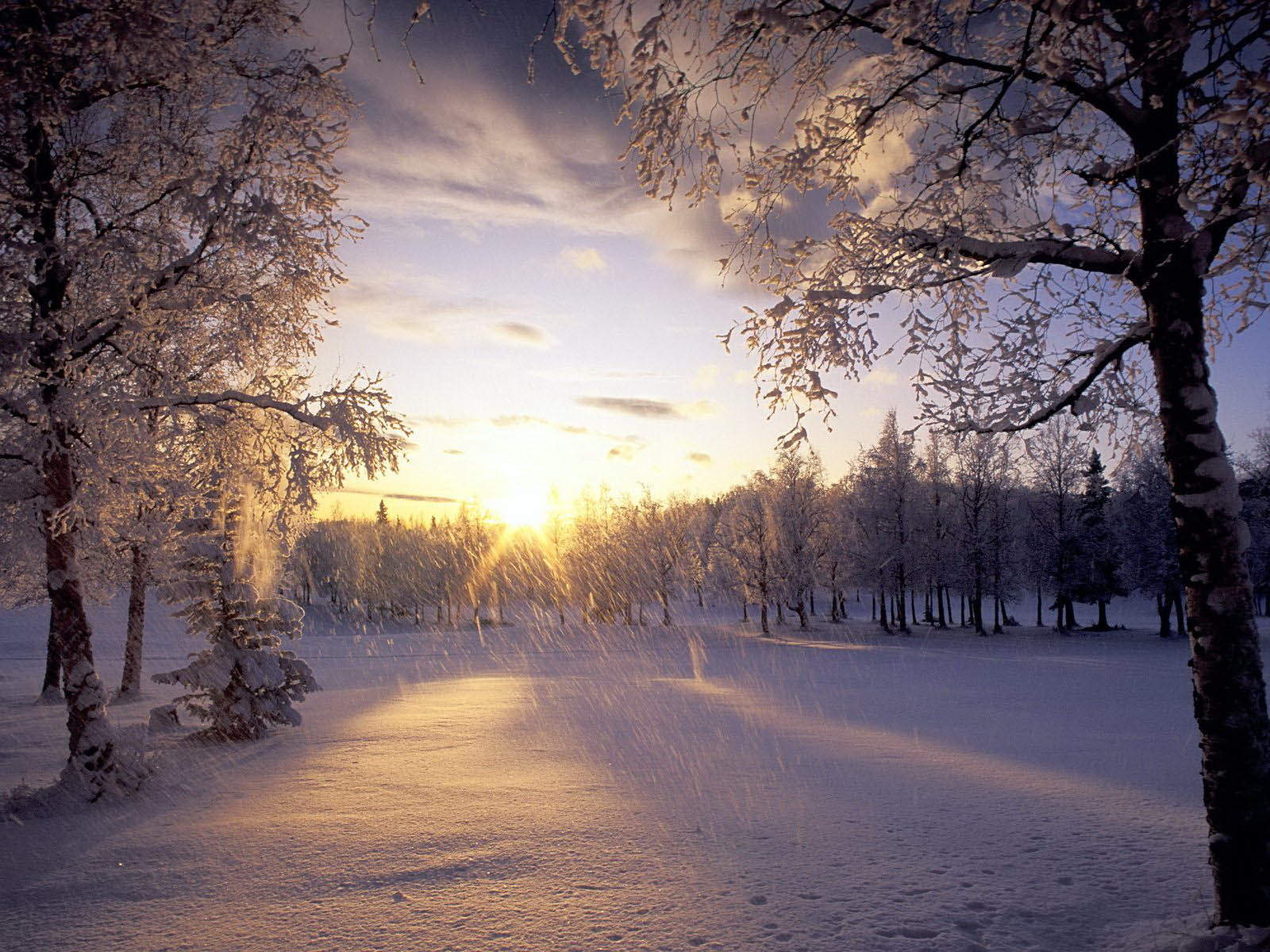 郑秀妍日本函馆冬日雪景唯美写真图片图片