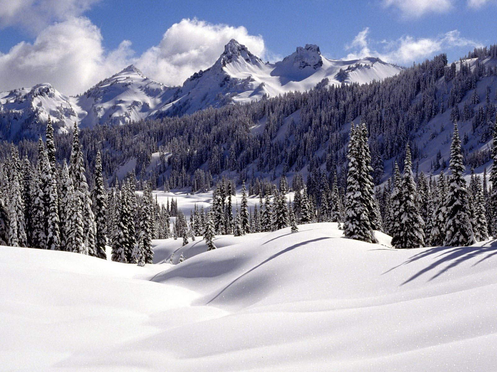 郑秀妍日本函馆冬日雪景唯美写真图片图片