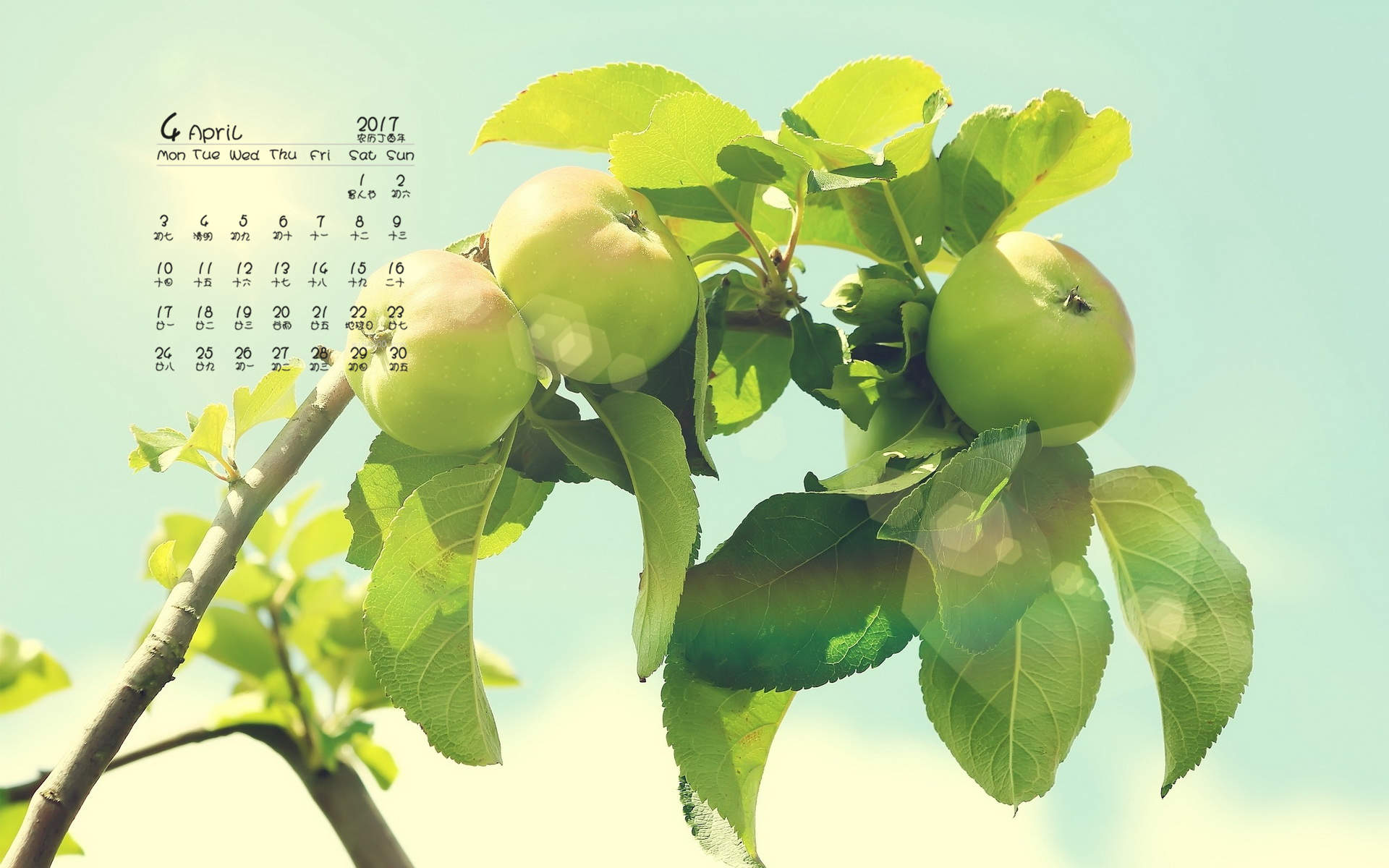 香甜的苹果高清桌面壁纸图片