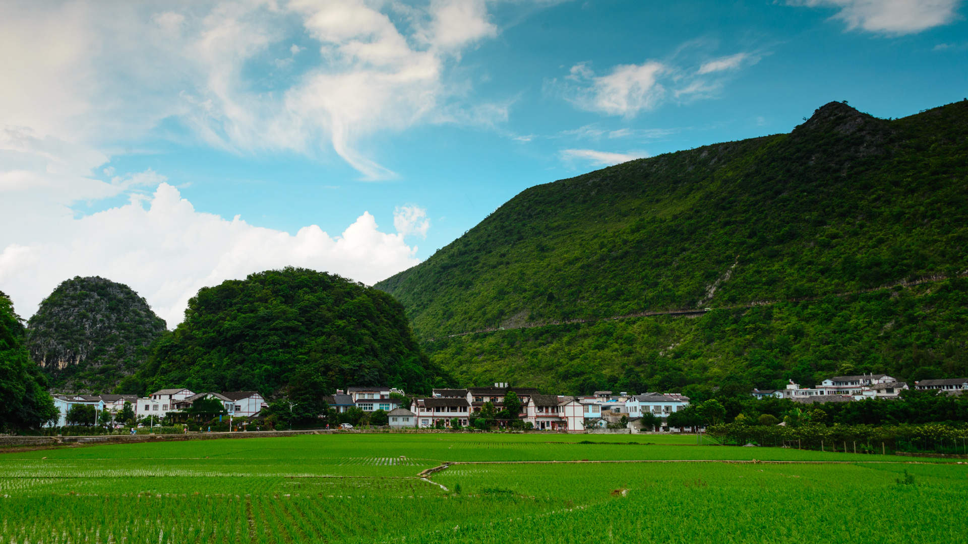 绿色护眼田园梯田风景图片桌面壁纸图片