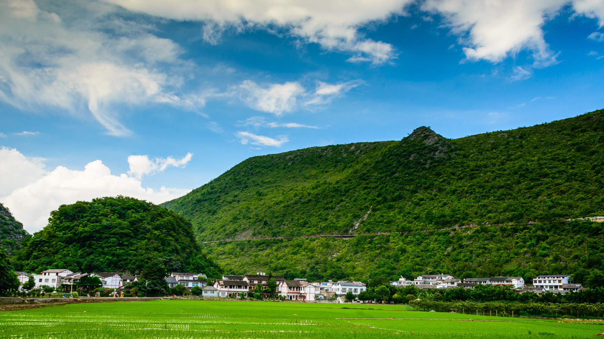 田园风光图片